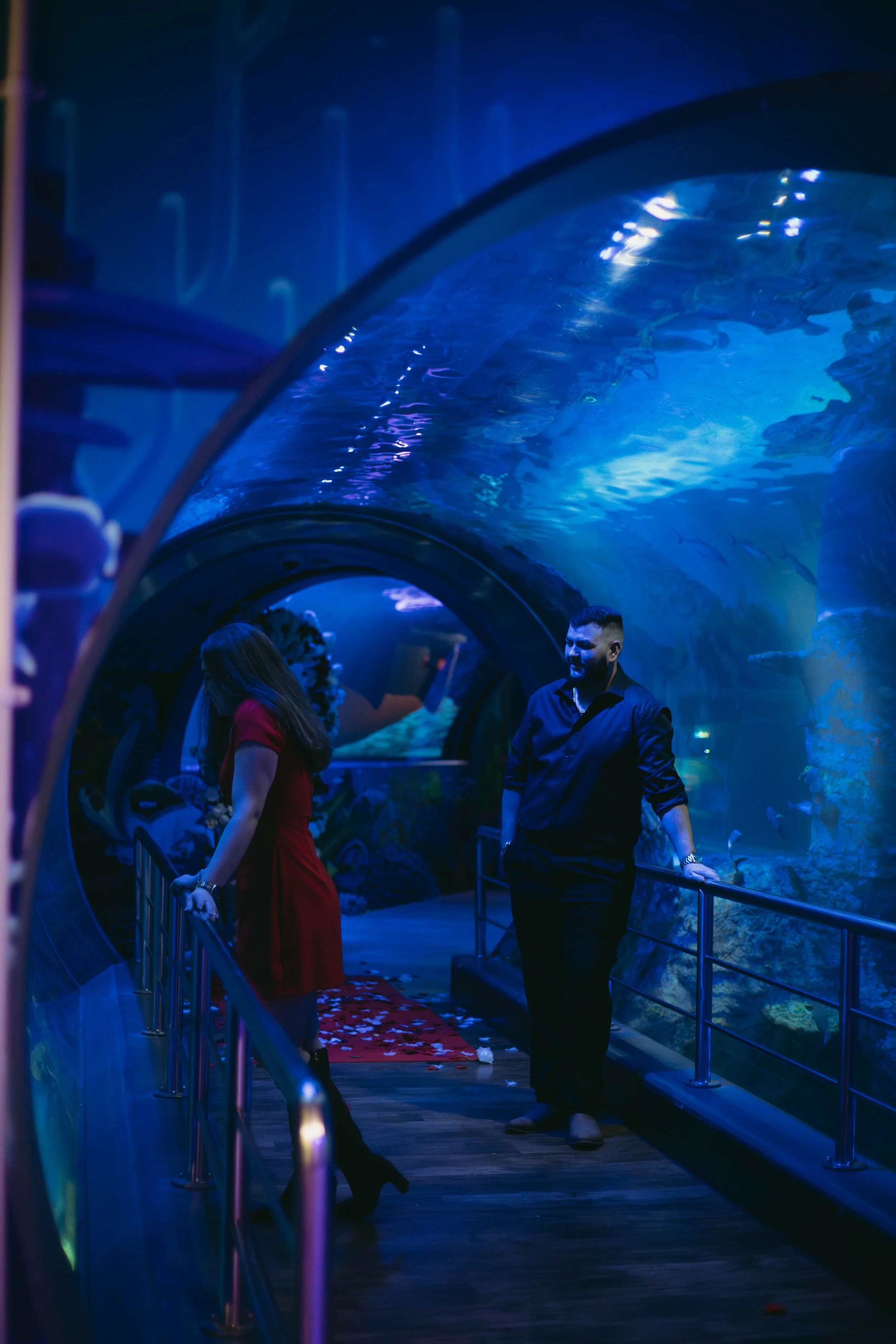 melbourne-aquarium-engagement (2).jpg