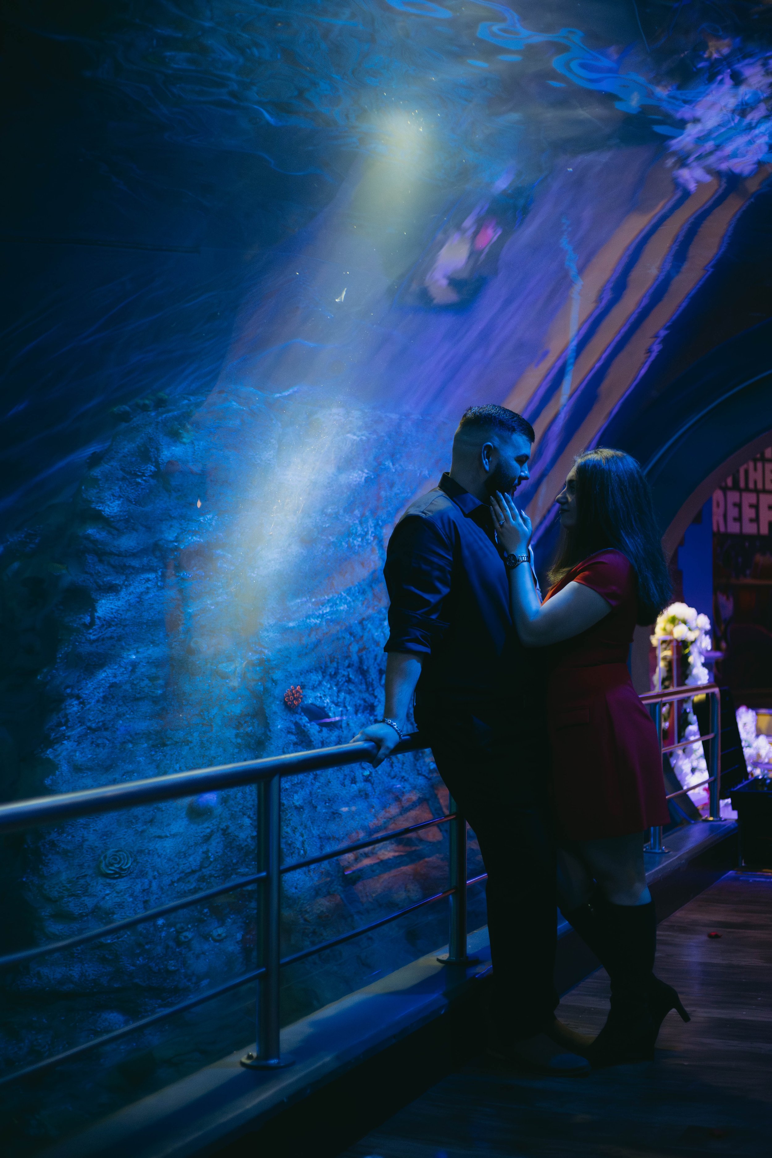 melbourne-aquarium-engagement (9).jpg
