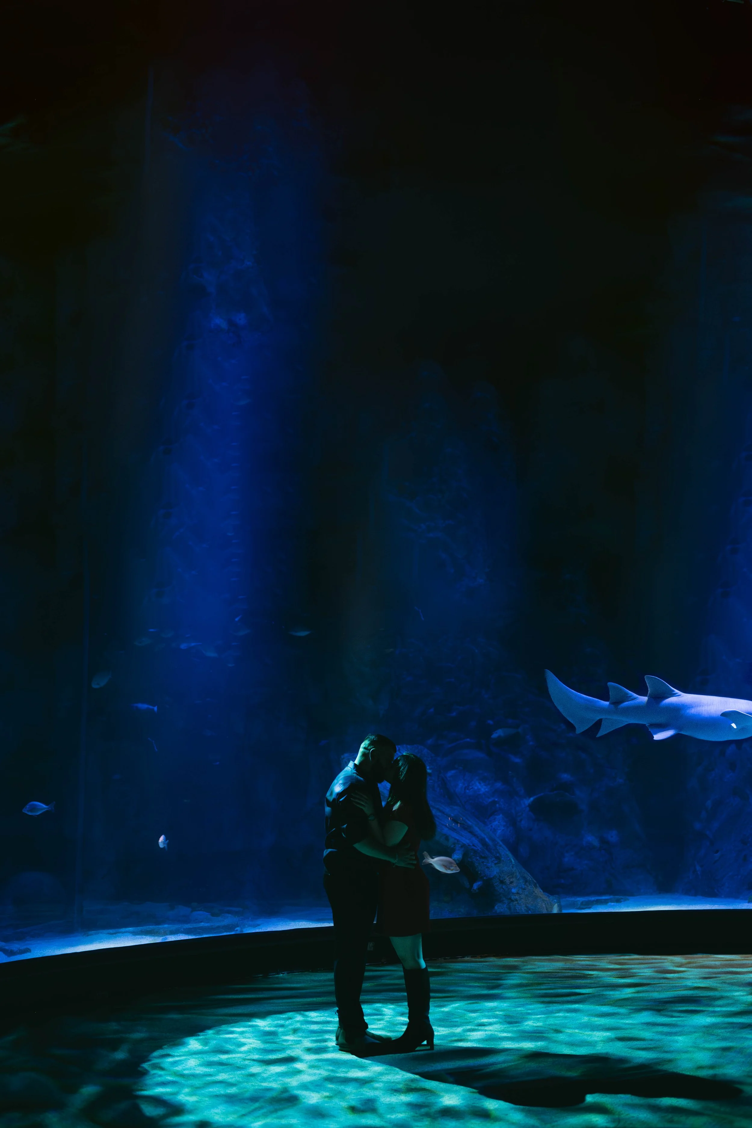melbourne-aquarium-engagement (49).jpg