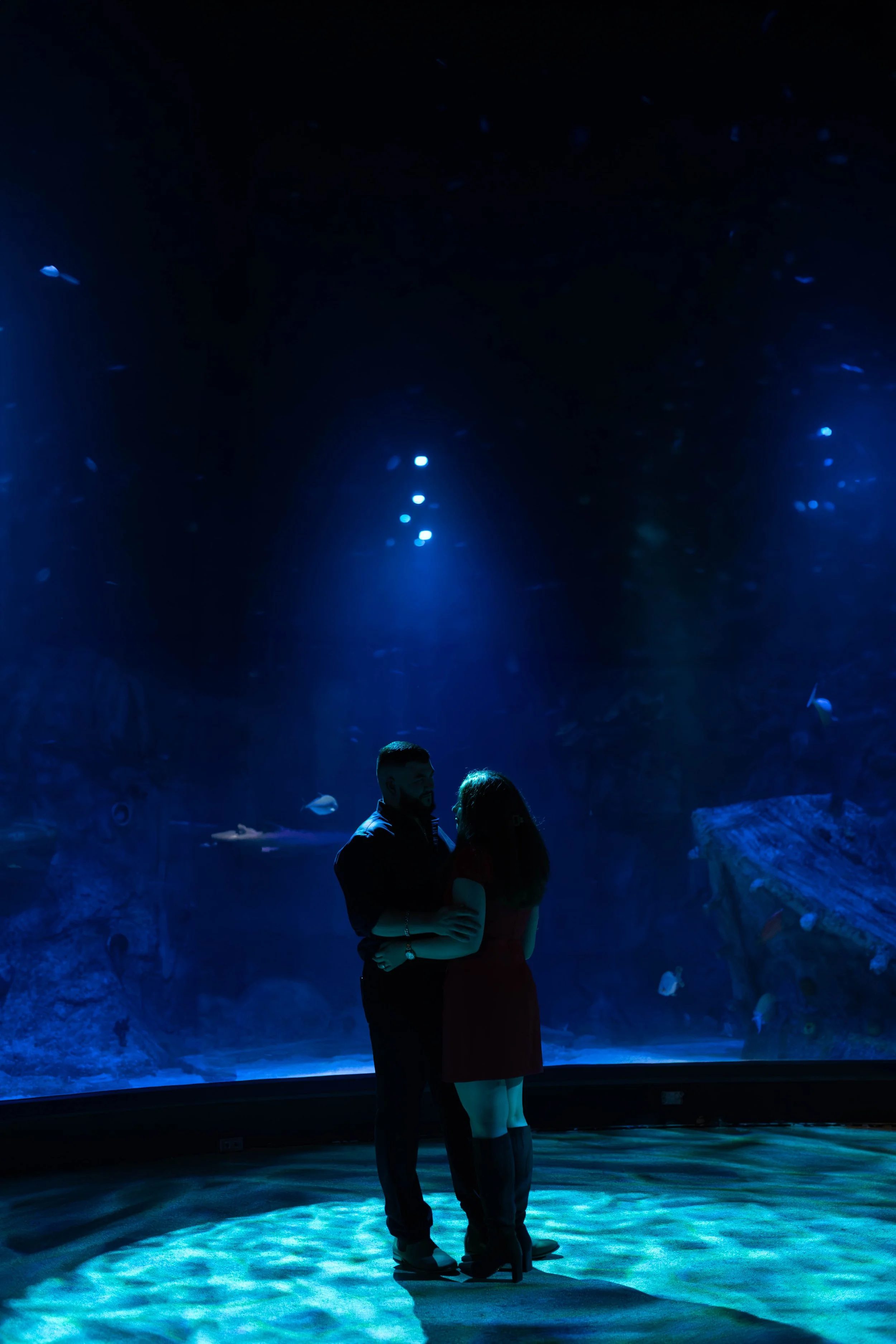 An After-Dark Aquarium Engagement at SEA LIFE Melbourne Aquarium