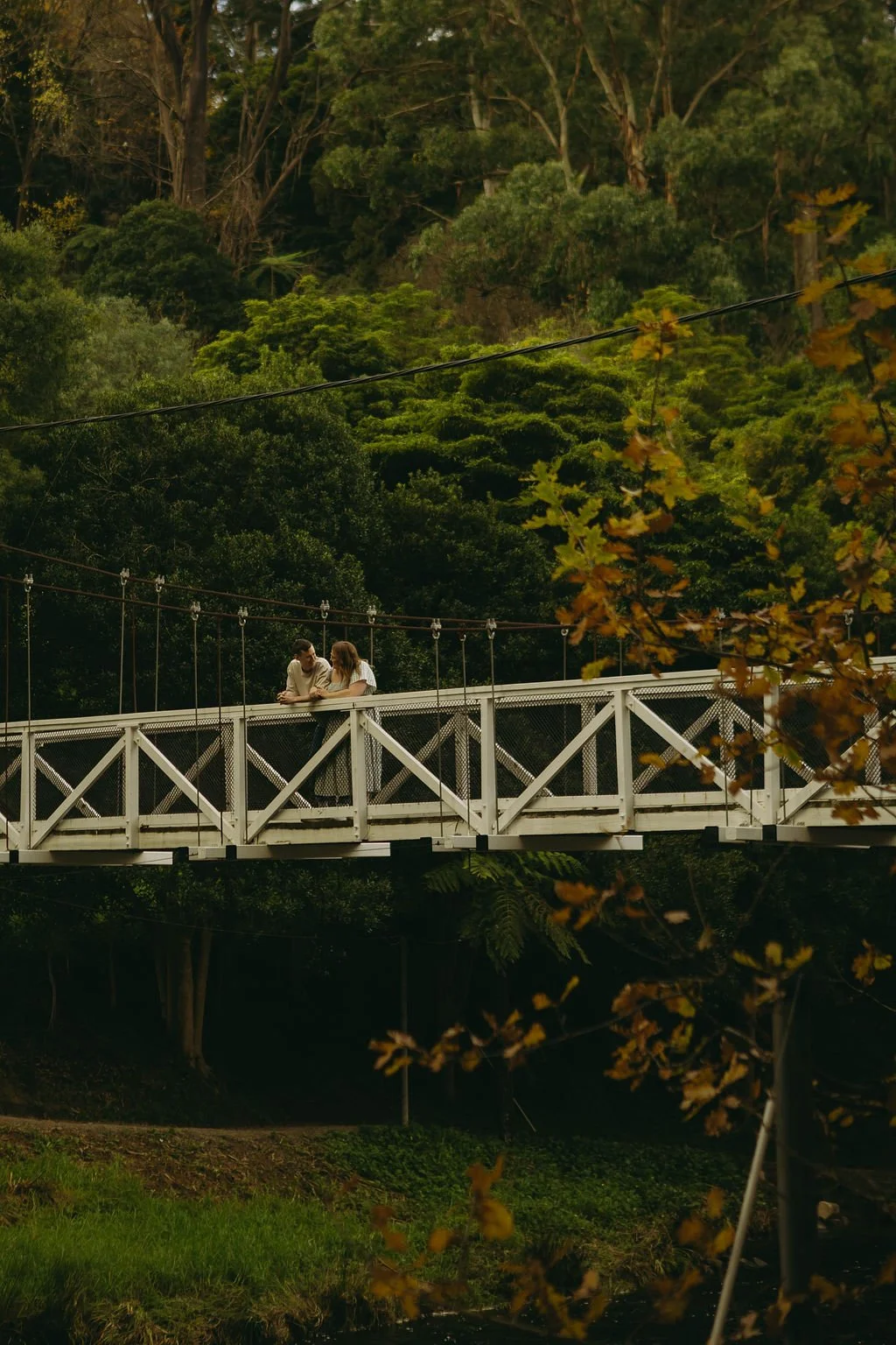 warburton-engagement-session-autumn-melbourne-yarra-valley (59).jpg