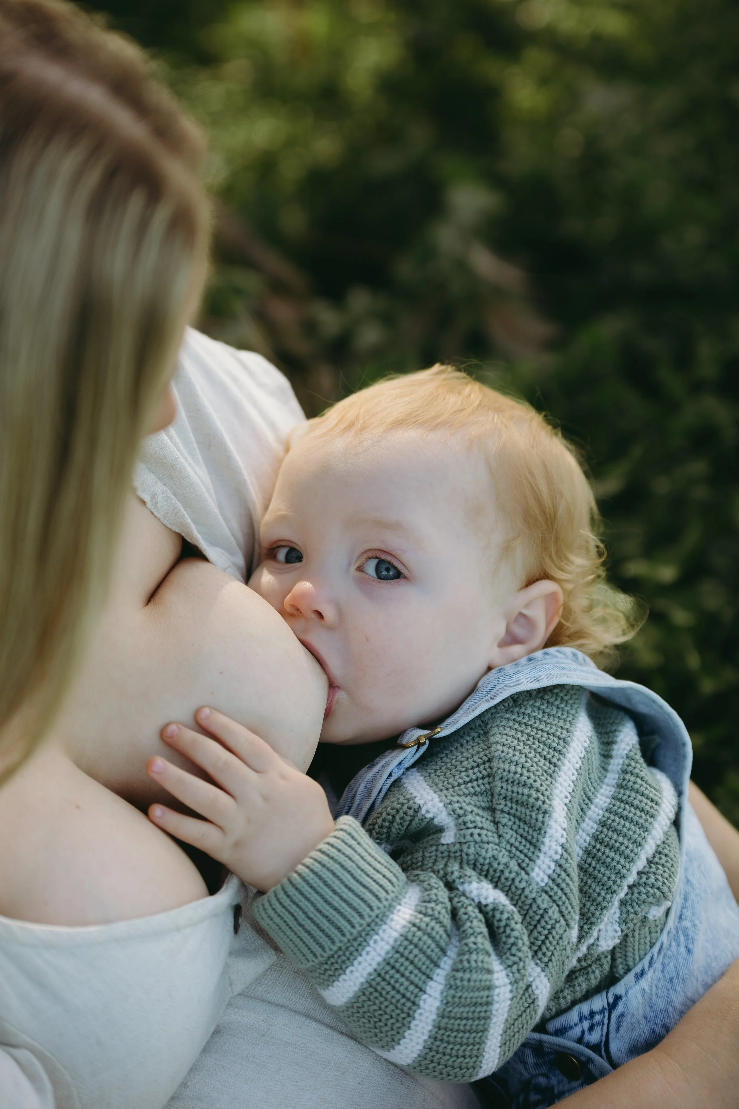 melbourne family photographer