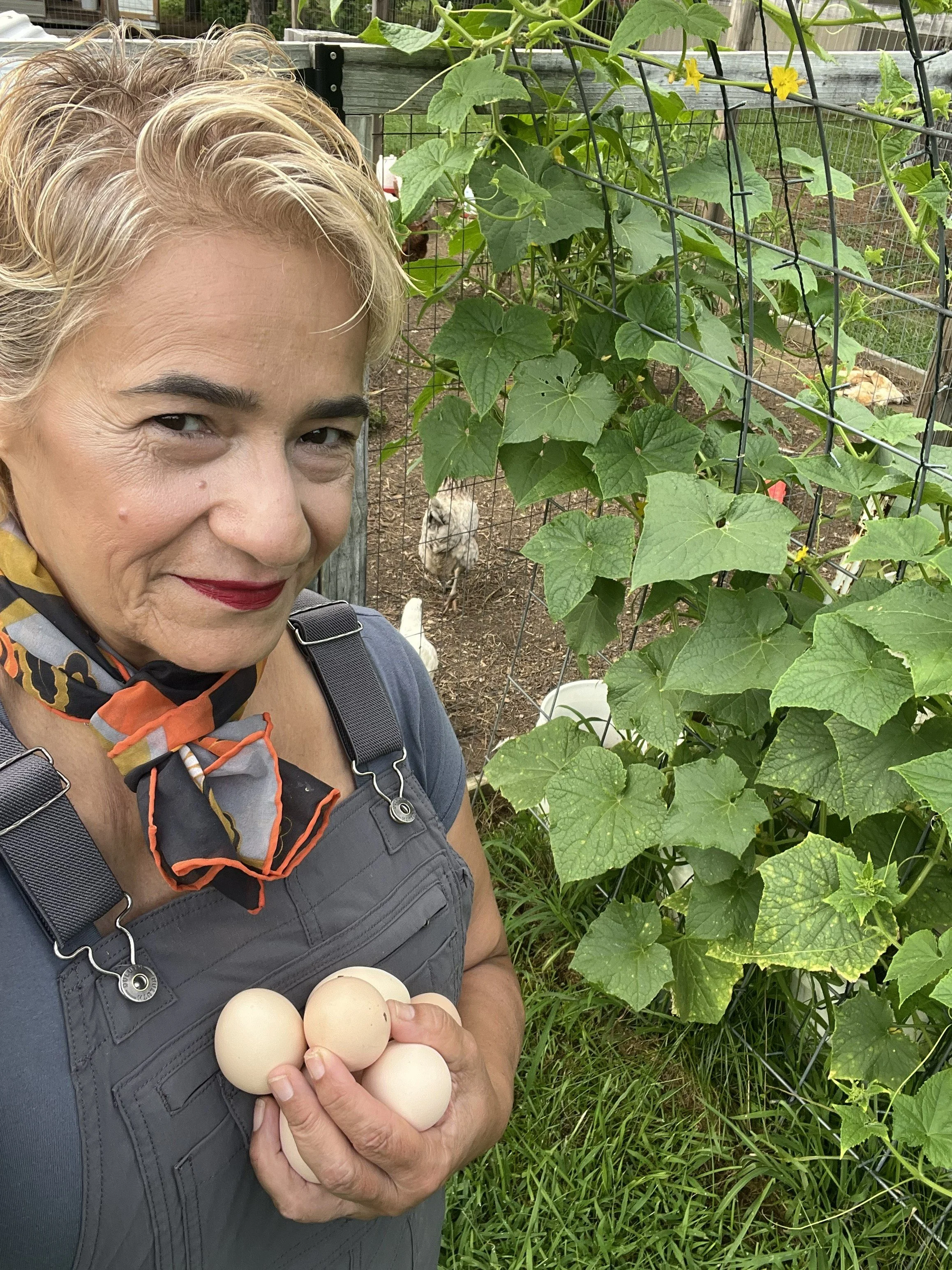 A woman outdoors holding eggs in her hand, standing in front of a garden with cucumber plants climbing a trellis.