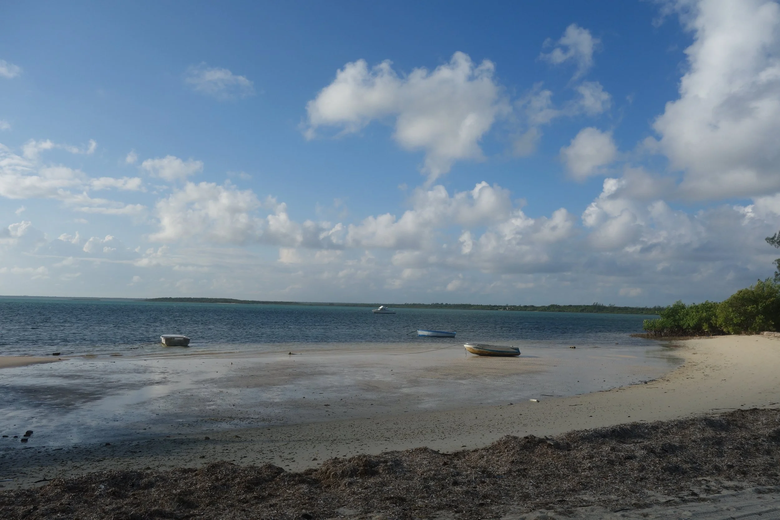DSC05973.JPG