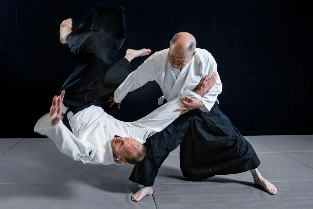 Two martial artists practicing Aikido, with one executing a throw against the other on a mat.