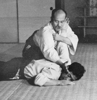 Two people practicing a martial arts technique on a tatami mat.
