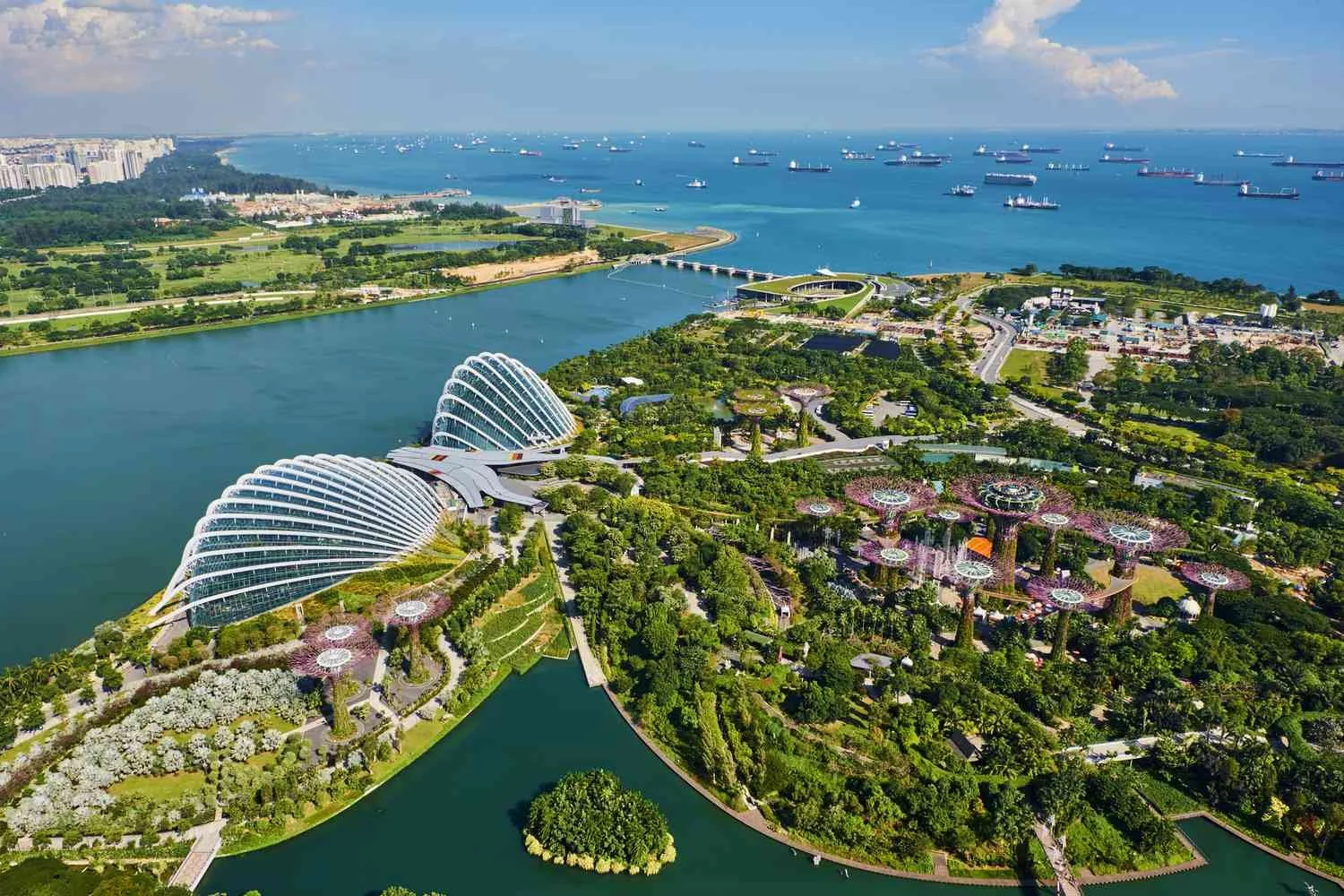 Aerial view of Singapore's Gardens by the Bay, showing the glass Flower Dome, Cloud Forest conservatories, and Supertree Grove bordering the waterfront filled with cargo ships.