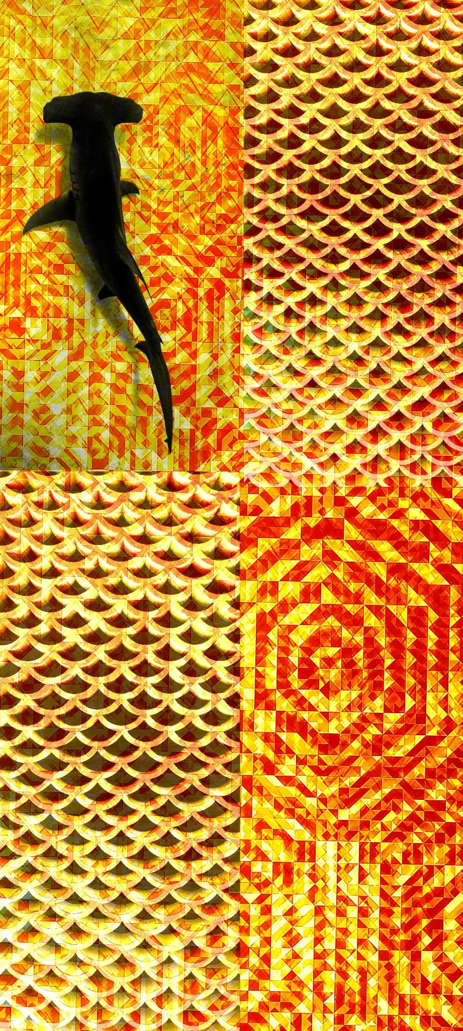 The inland shark Chief .jpg