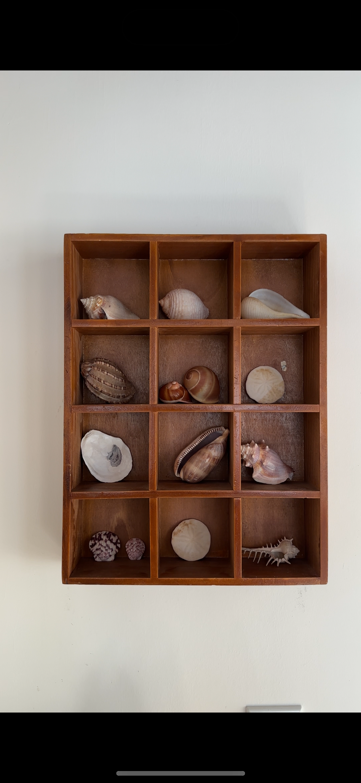 Wooden Compartment Wall Shelf