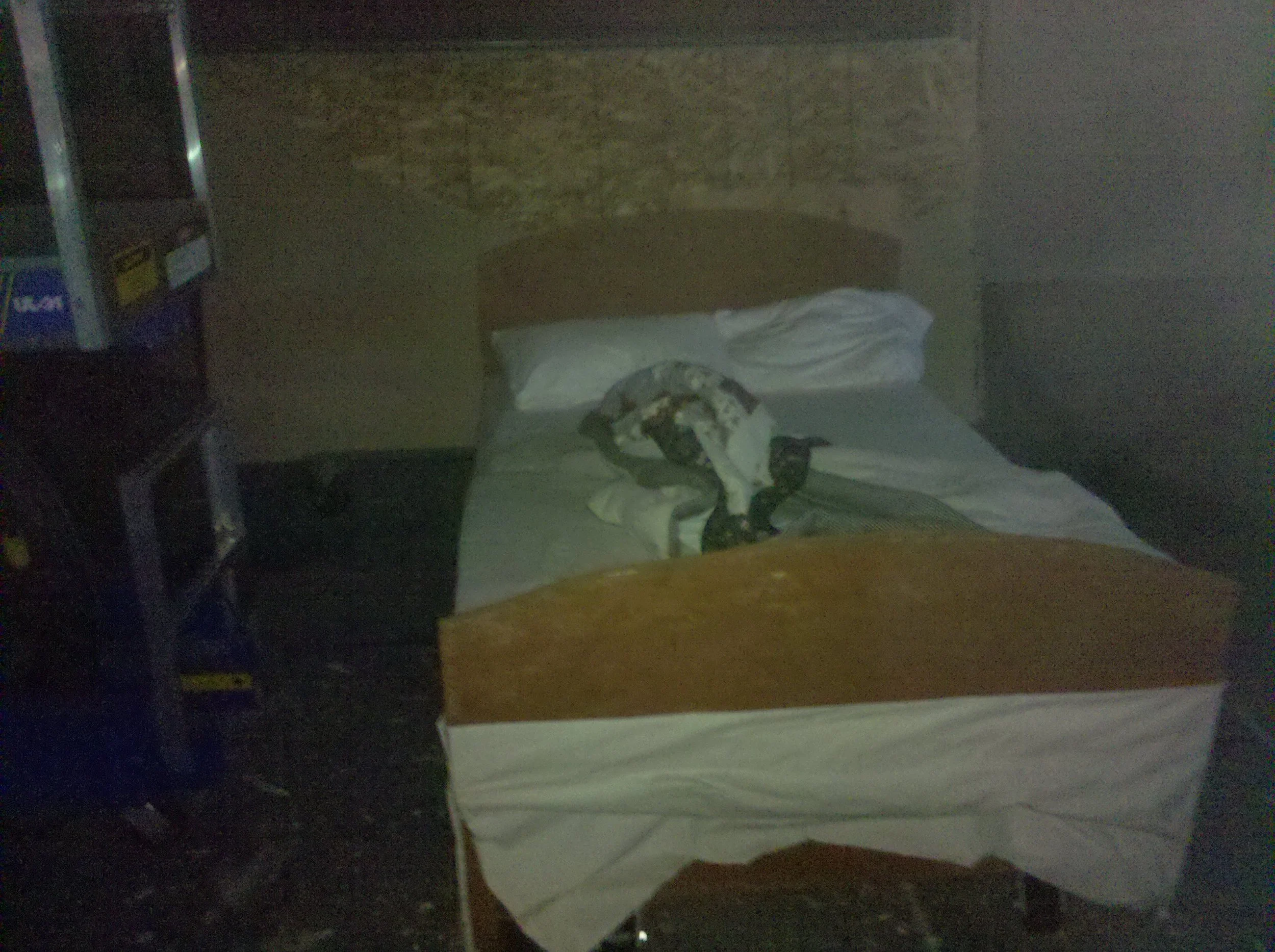 2010-03-07 16.52.55.jpg