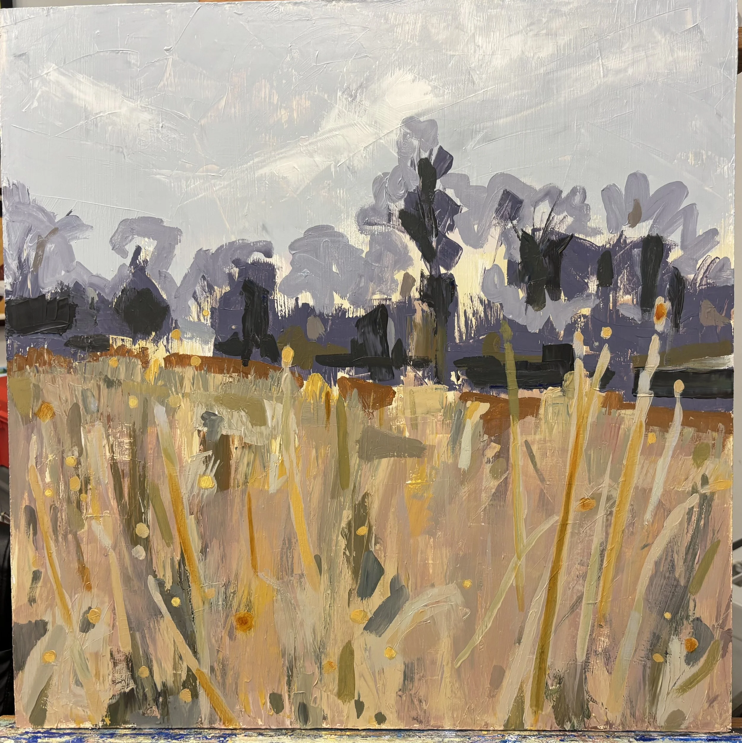 Bluestem Cedar Grove