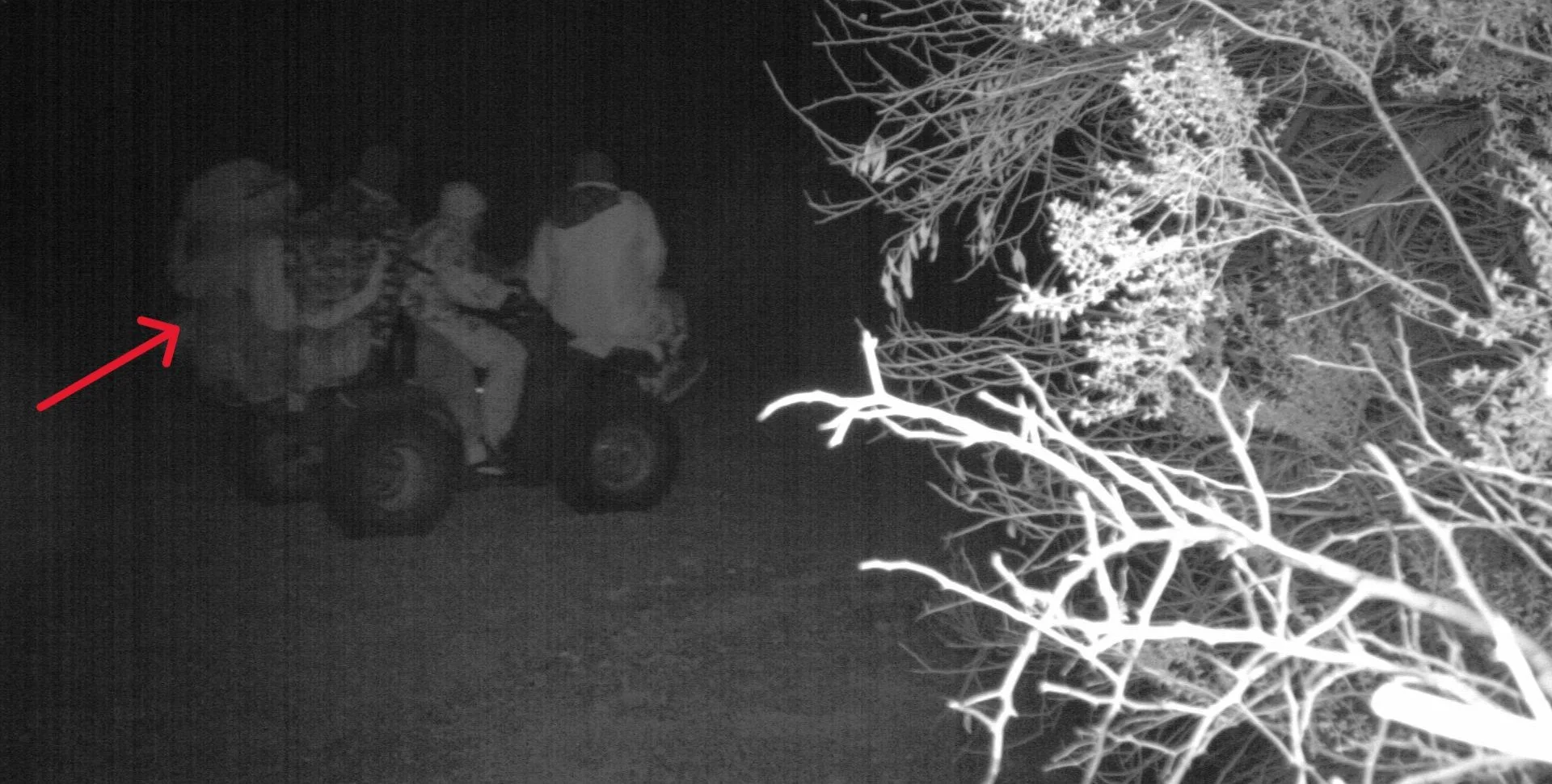 Under cover of darkness, we tracked the network’s movements in real time. An ATV loaded with marijuana passes through the corridor. One of many loads monitored through our surveillance.
