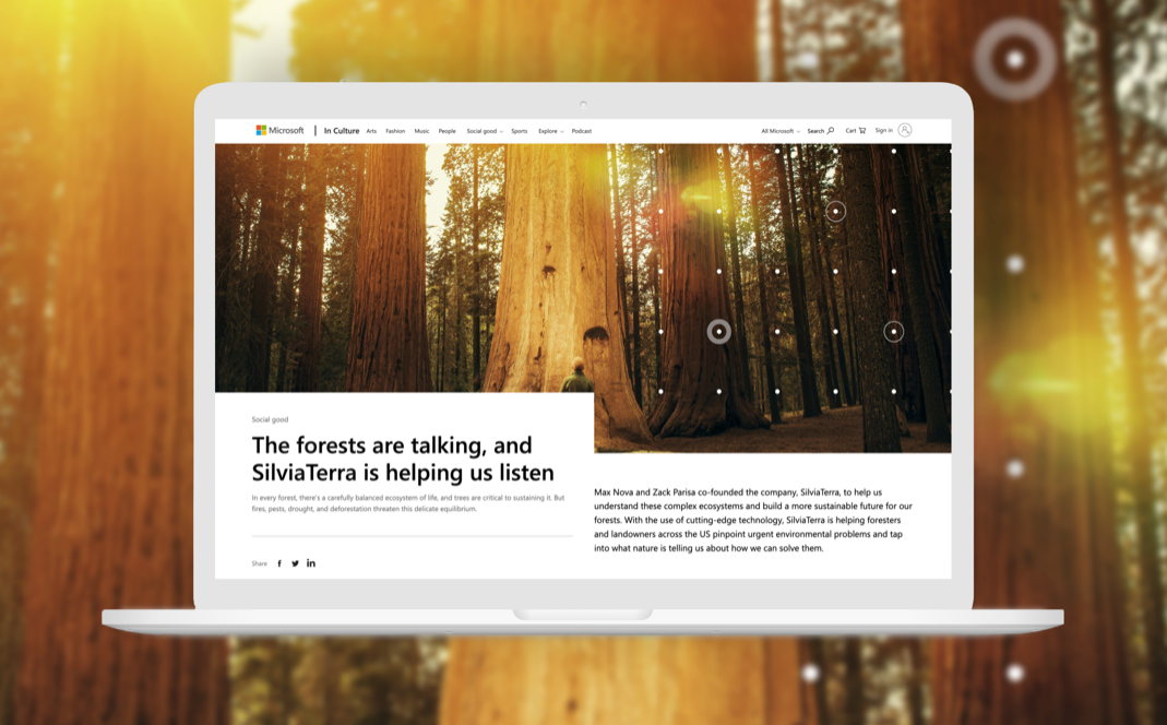 Focus Forests