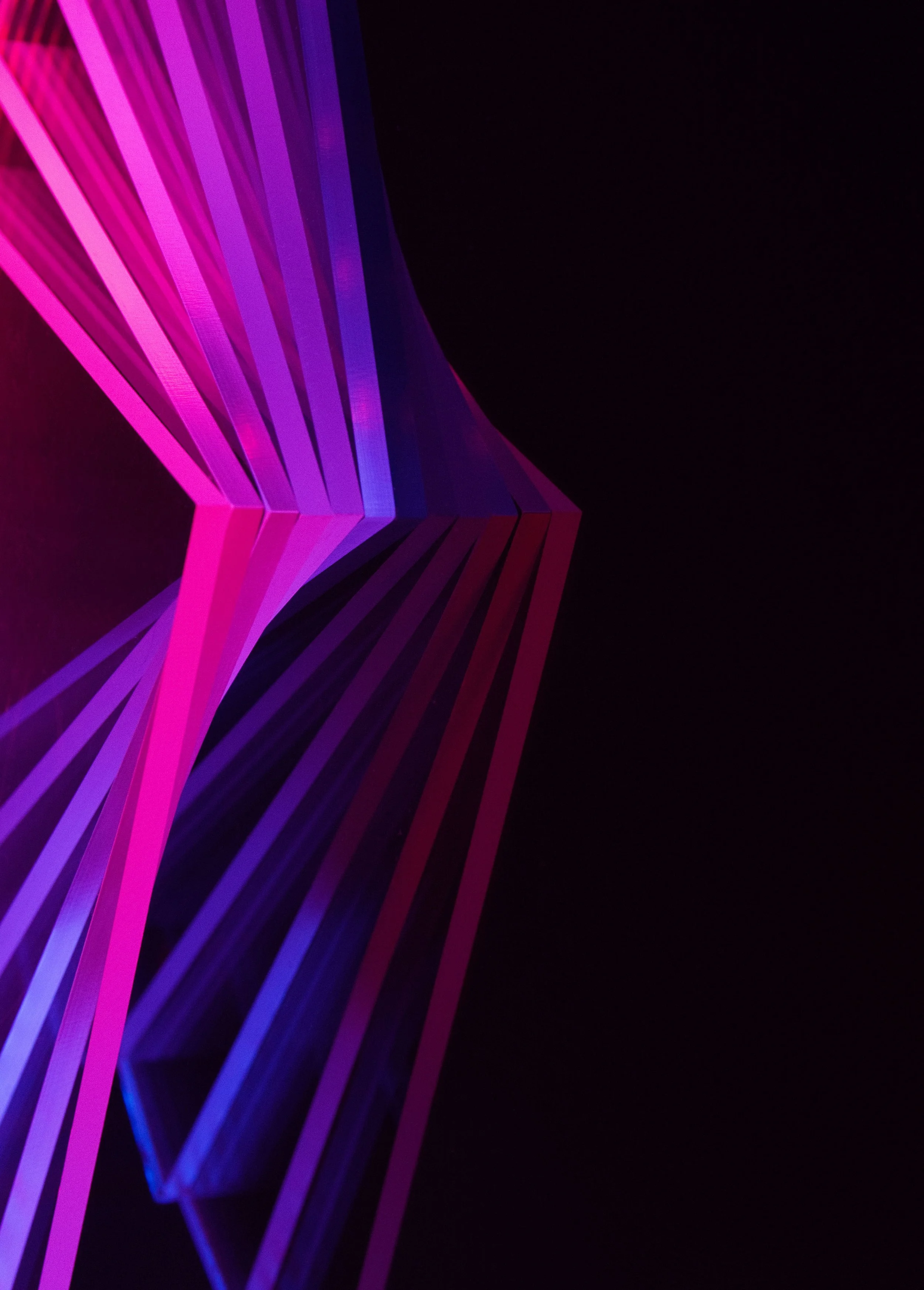 Hot Fuchsia and Maroon Spray II