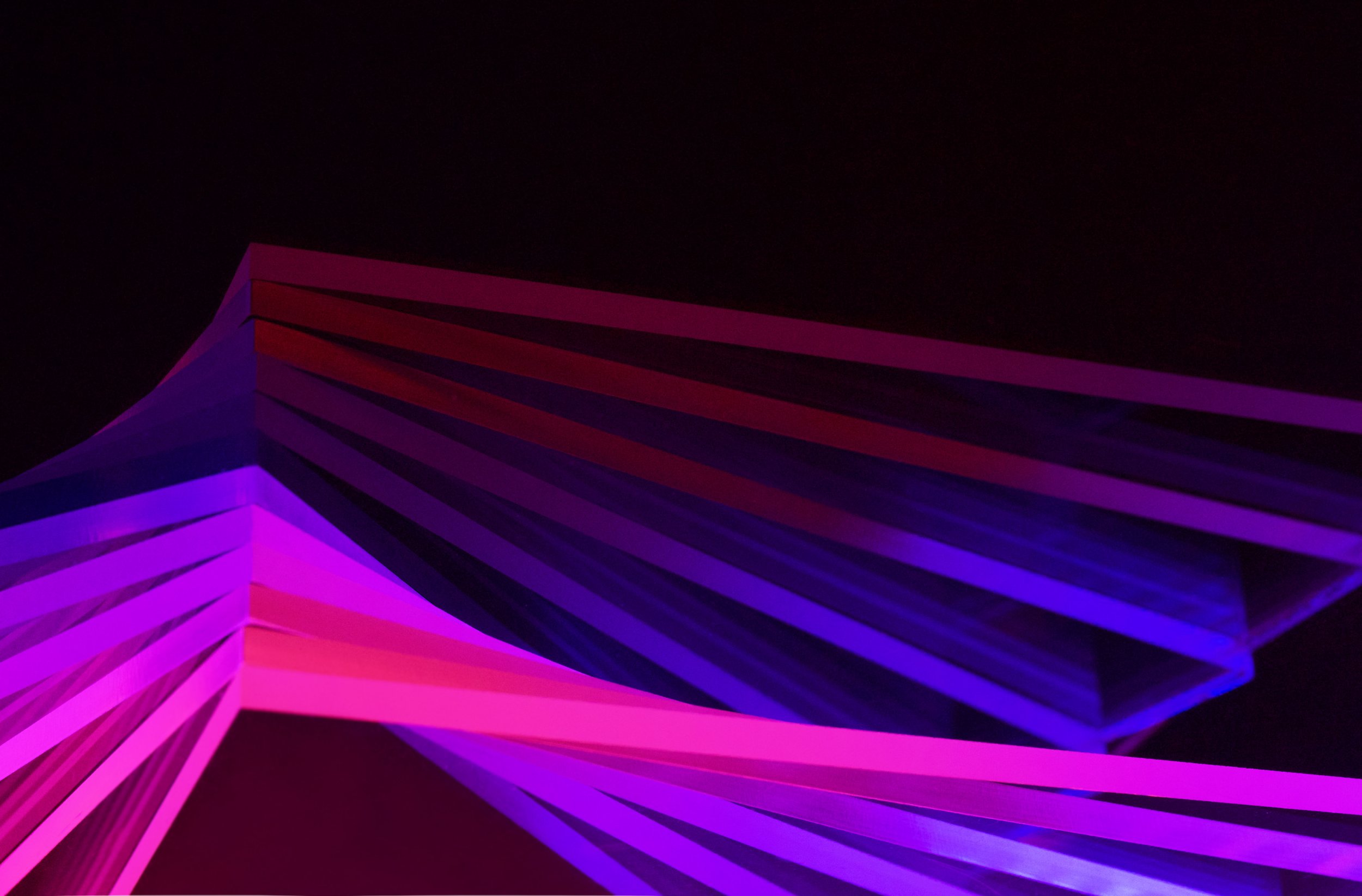 Hot Fuchsia and Maroon Spray