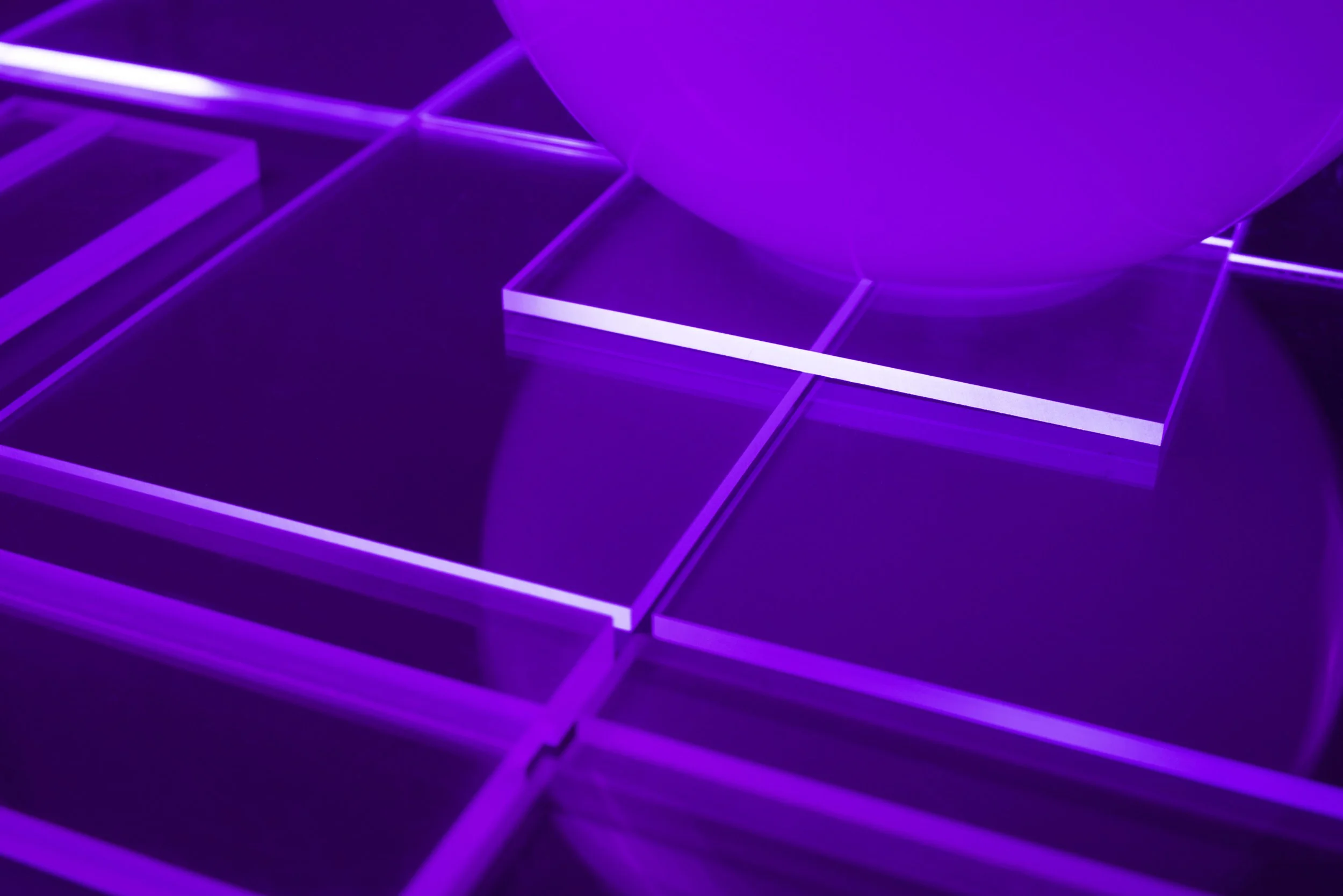 Violet Dwarf on Plane