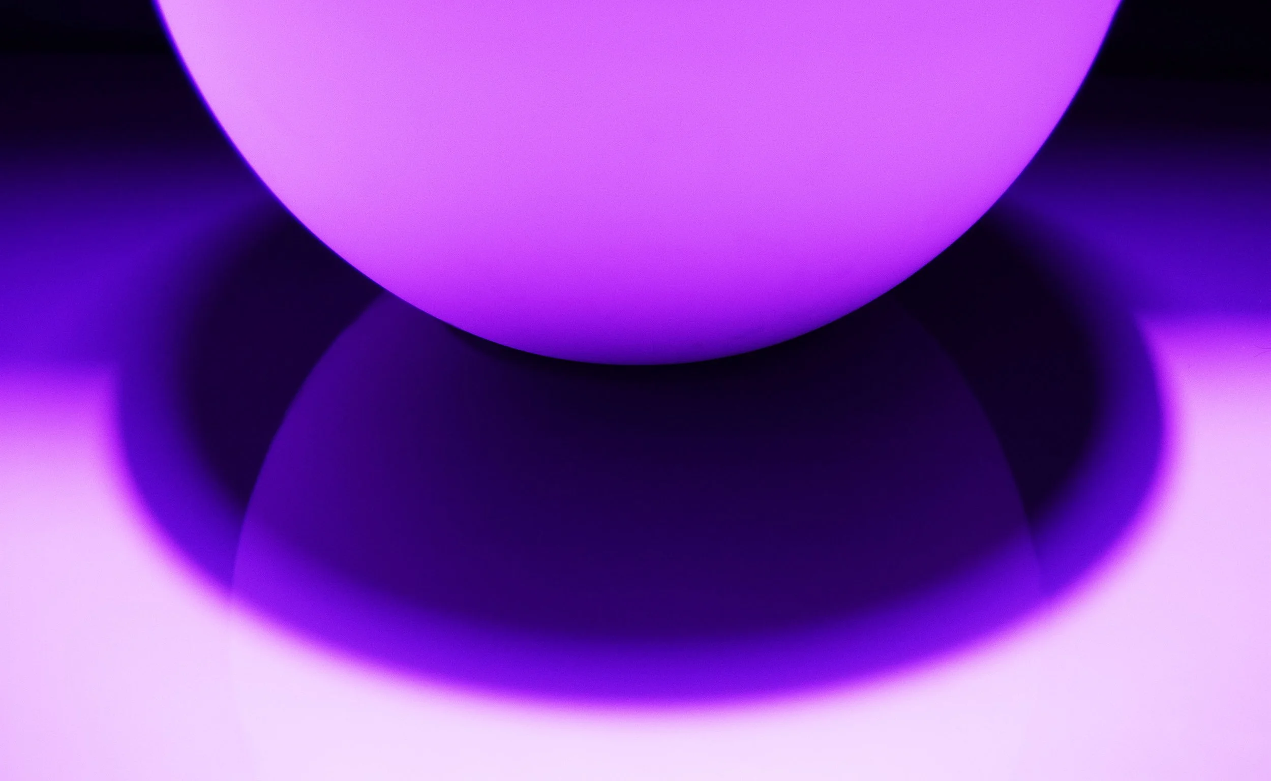 Noble Violet Dwarf II