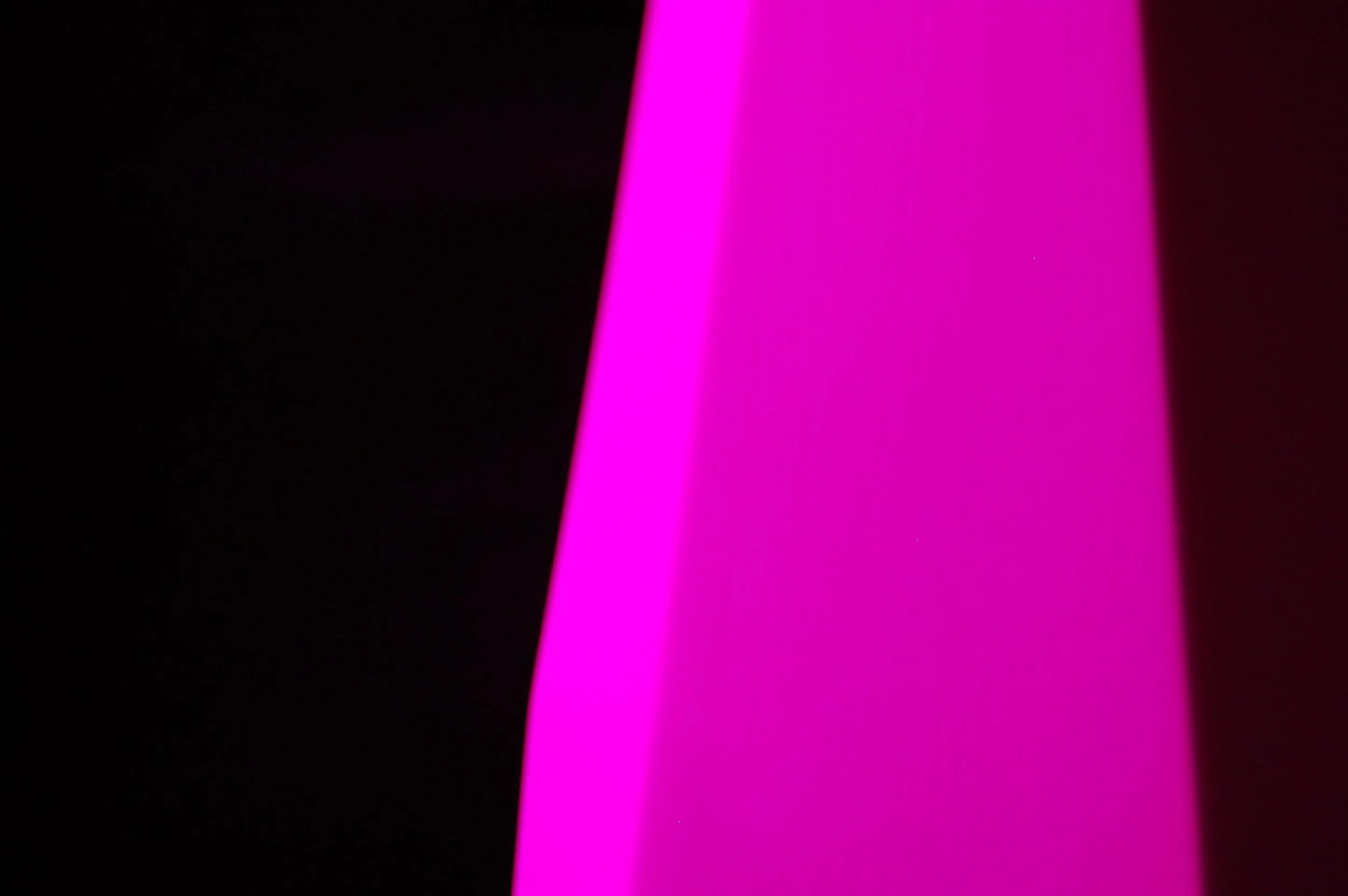 Fuchsia Sentinel VII