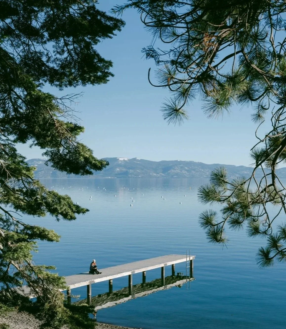 Wooden dock extending into a calm blue lake, framed by pine trees with mountains in the distance