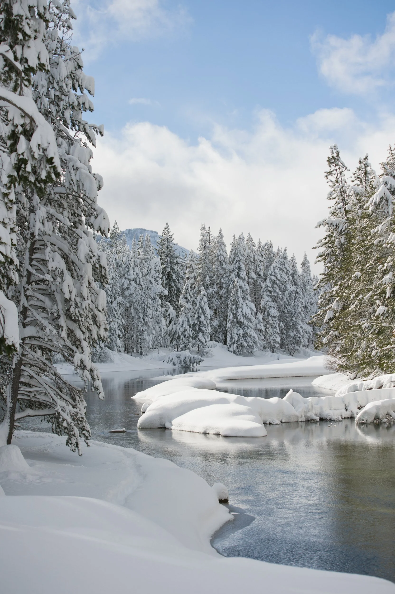 Snow-covered river winding through pine trees under a bright winter sky in Lake Tahoe