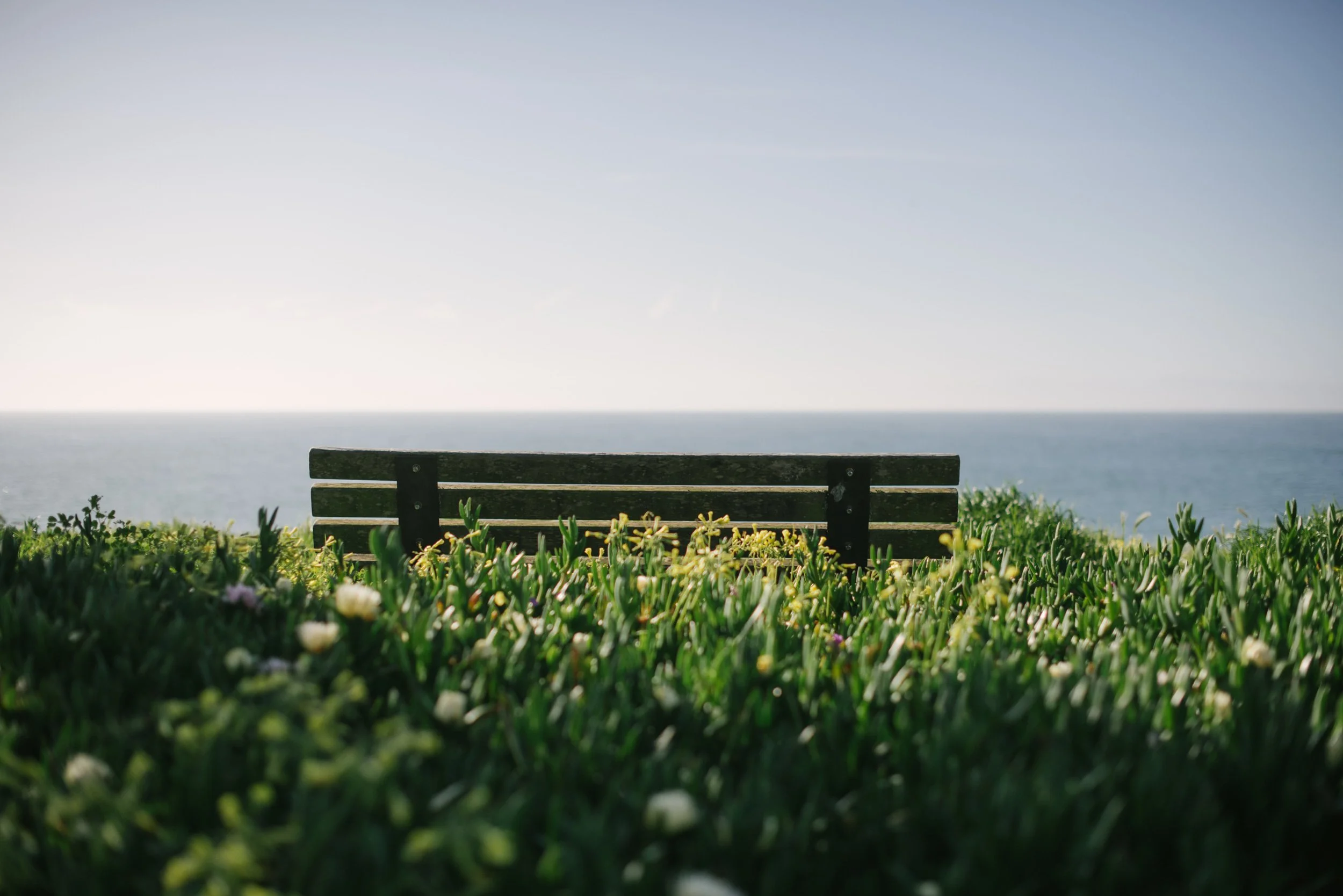 Wooden bench behind coastal greenery with ocean view in the distance