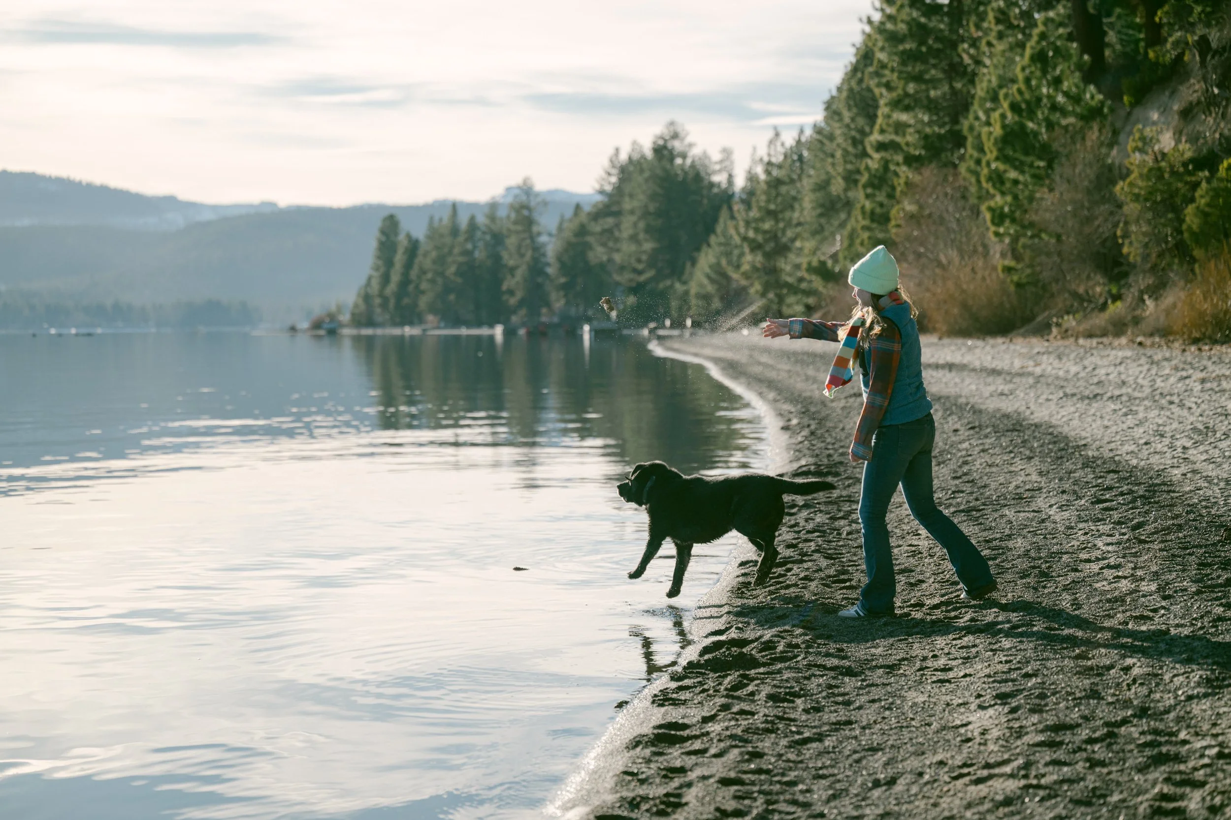 Person playing with a black dog along a calm lakeshore in Lake Tahoe