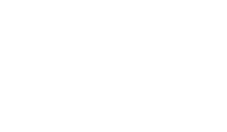 Silicon Hills Talent Partners