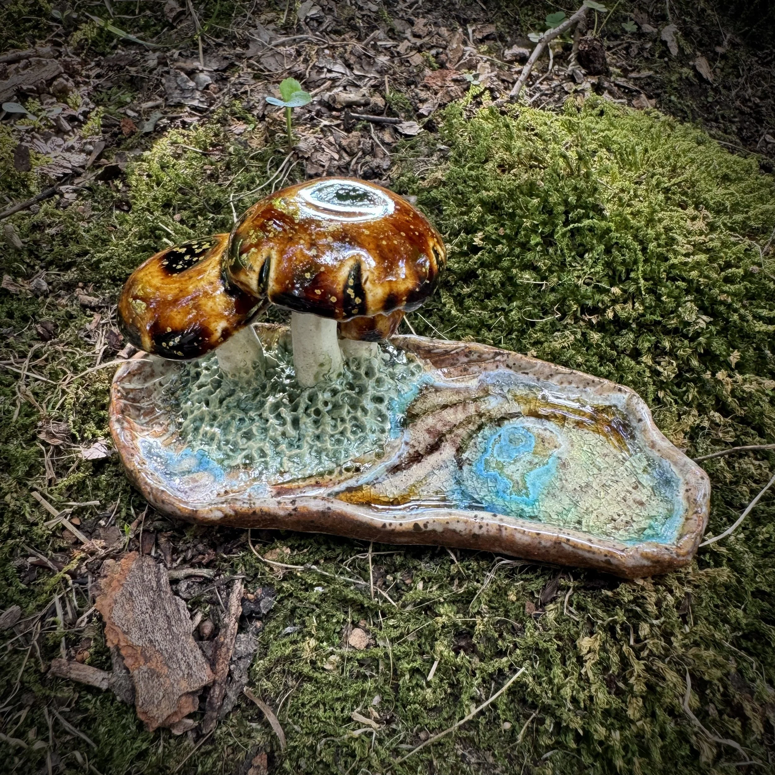 Mushroom Reliquary I, Summer 2025