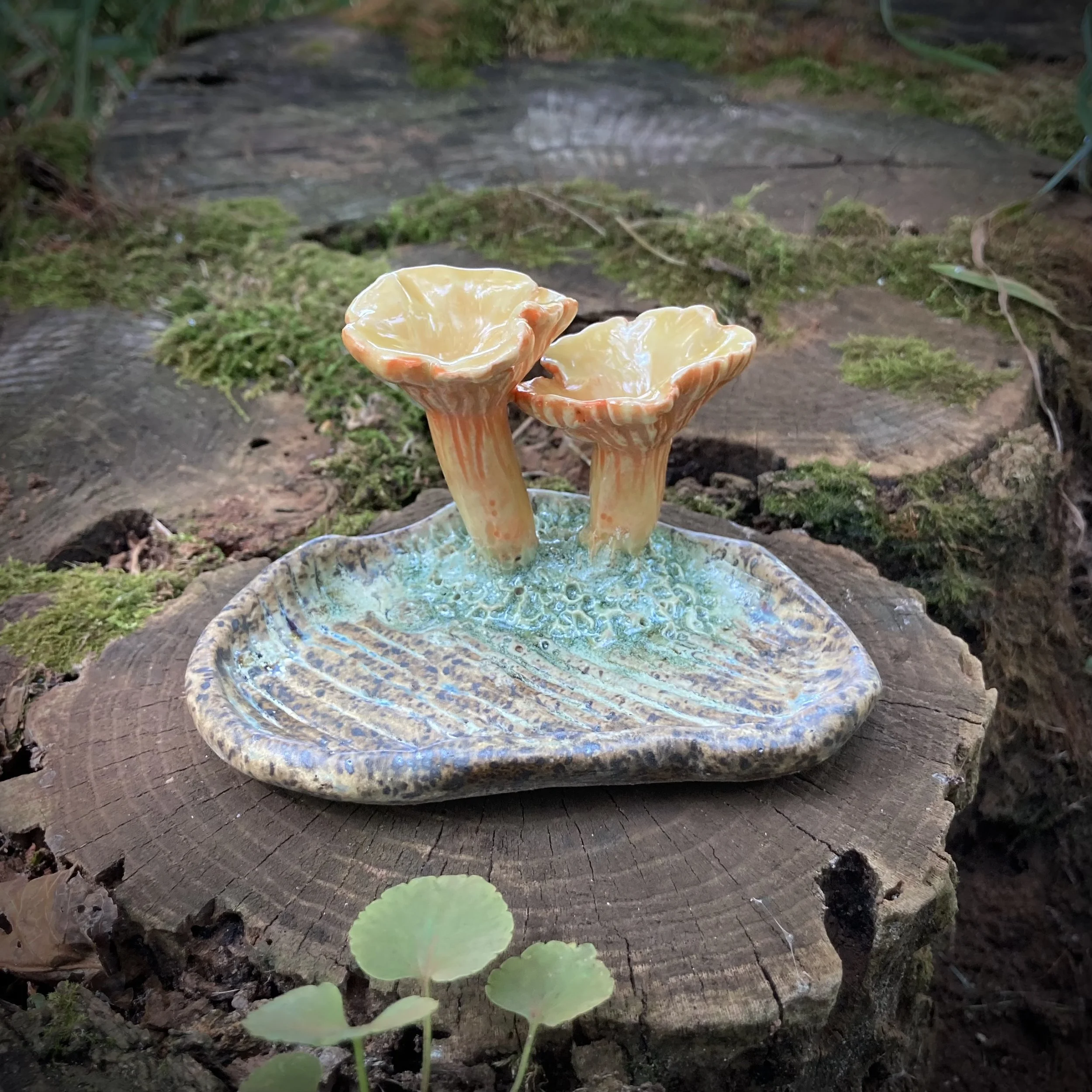 Chanterelle Reliquary, Summer 2024