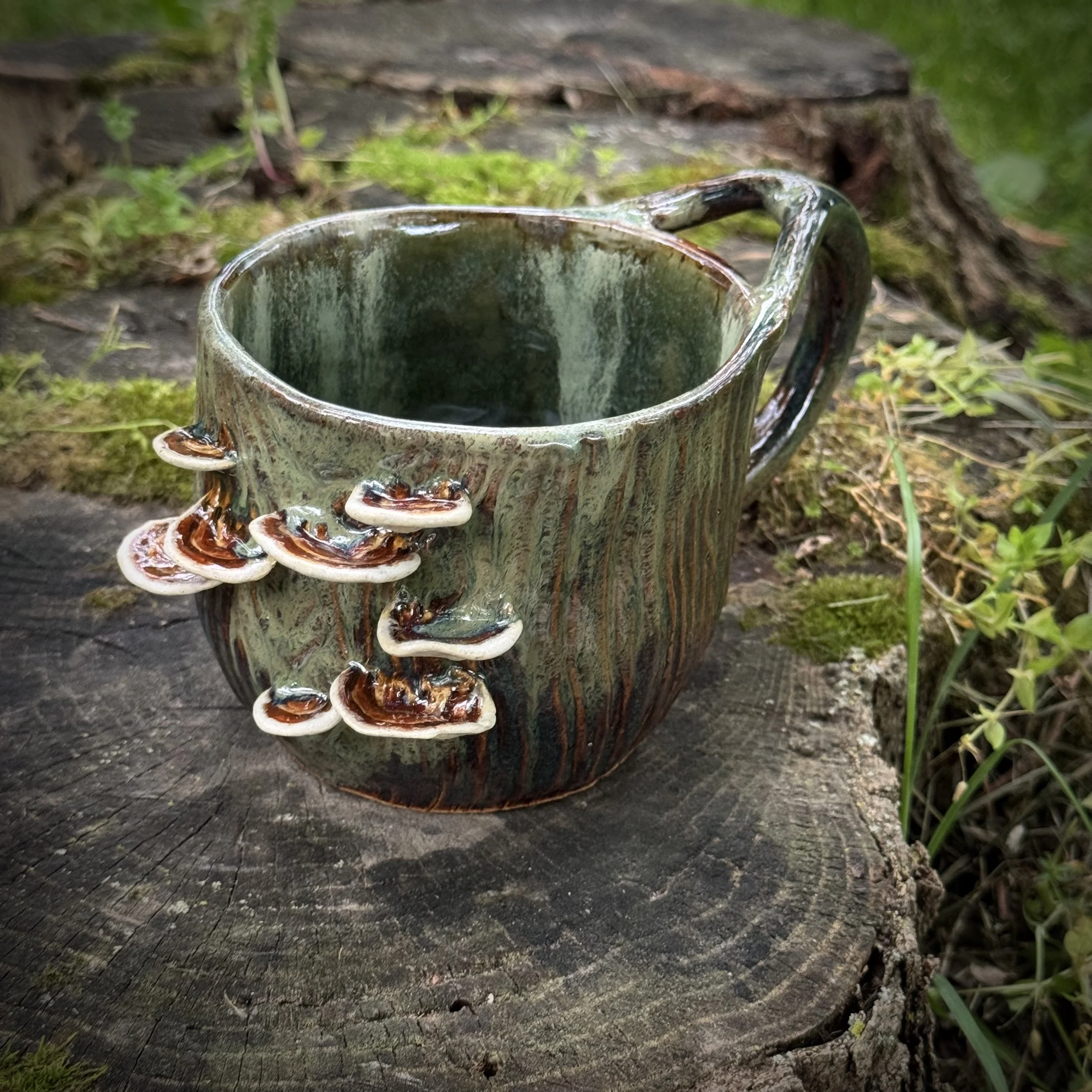 Turkey Tail Vessel II, Summer 2025