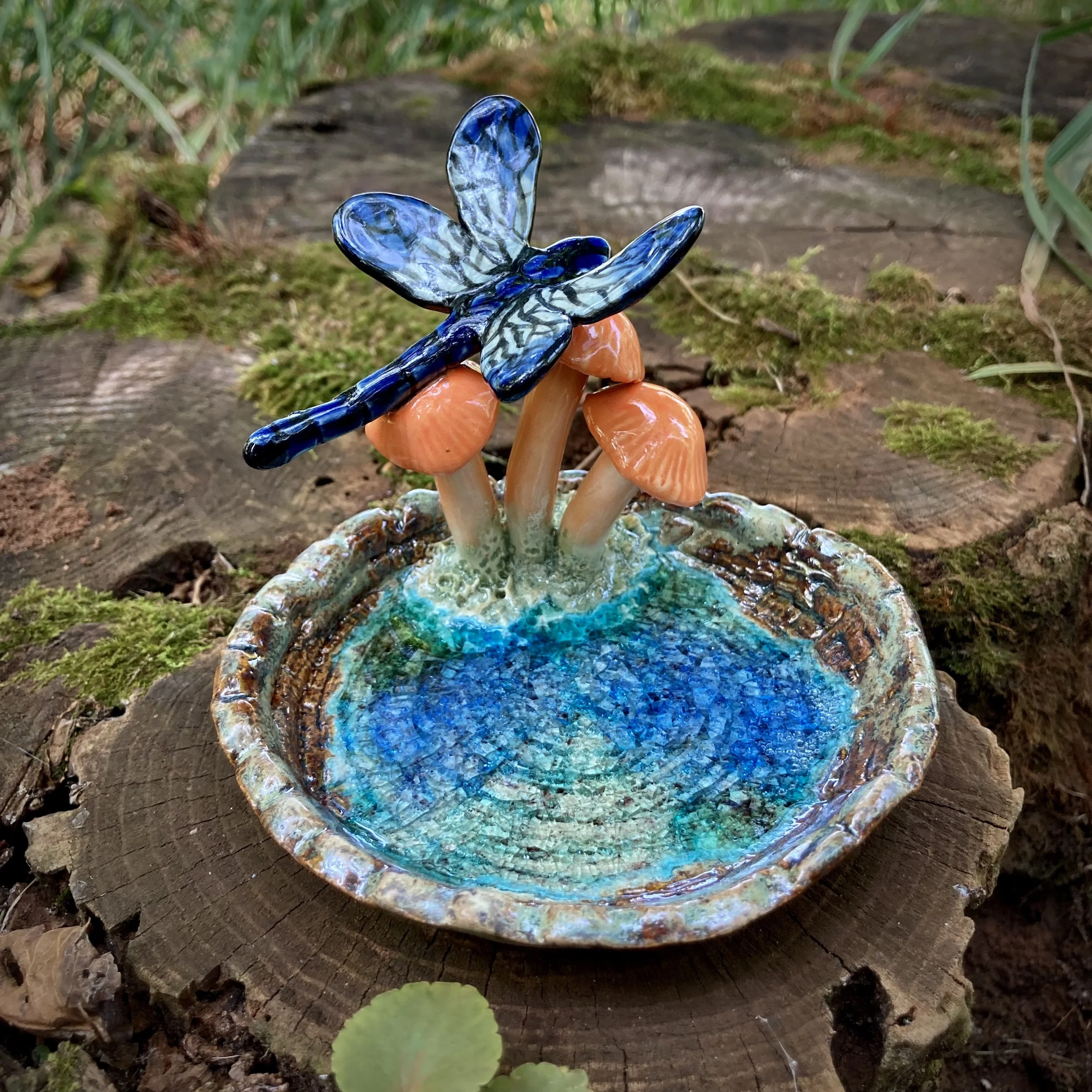 Dragonfly Mushroom Reliquary, Summer 2024
