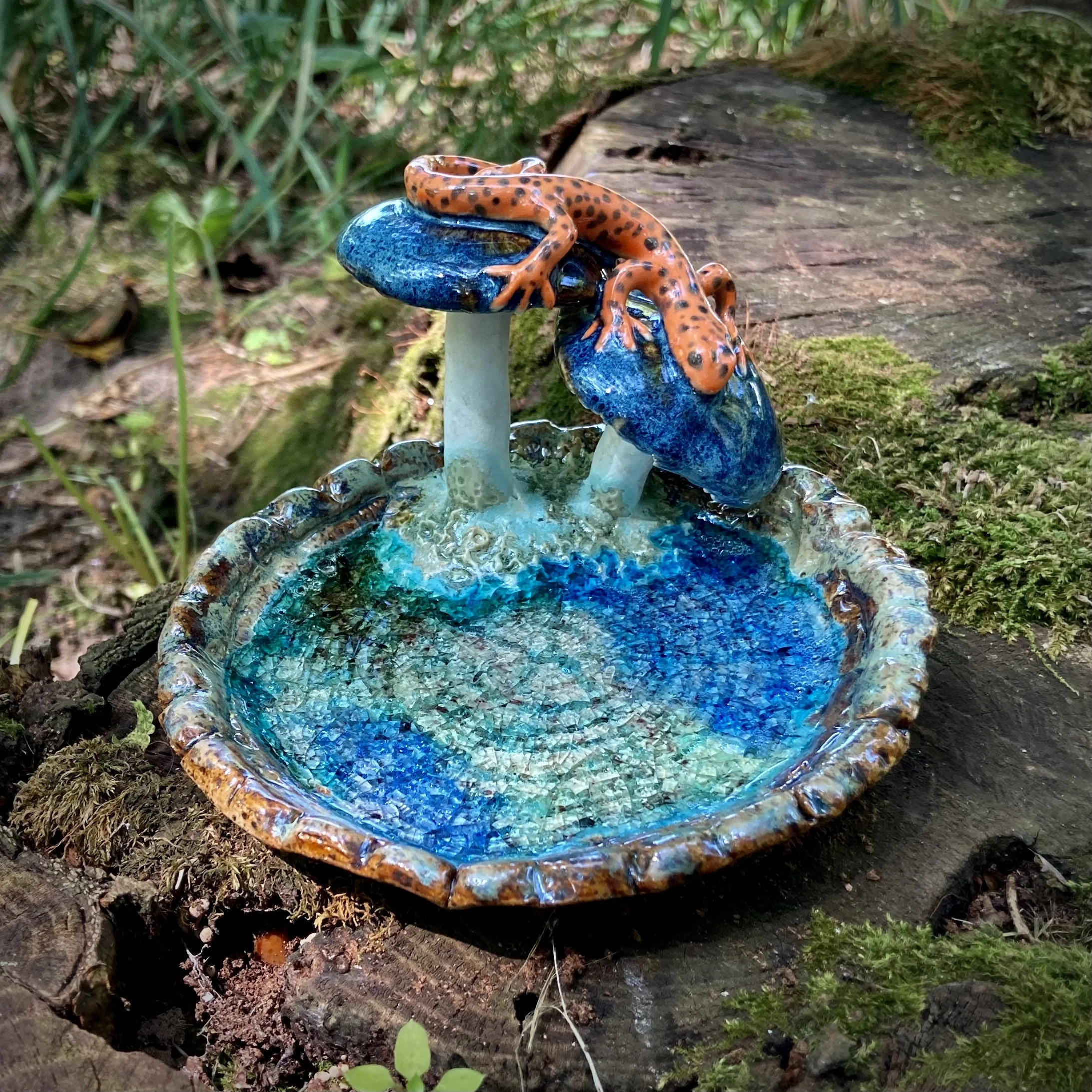 Salamander Mushroom Reliquary, Summer 2024