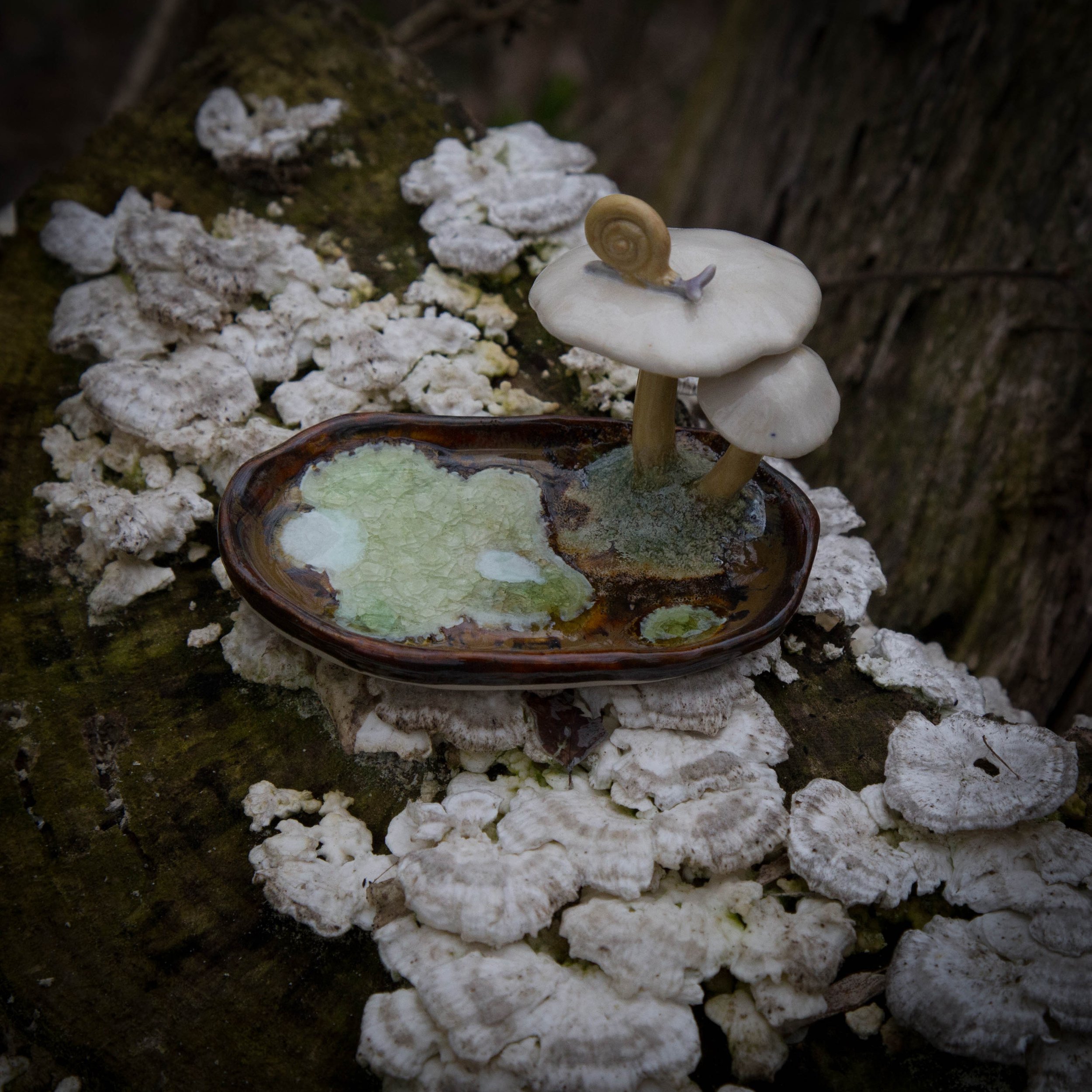 Mushroom Reliquary III, Spring Season 2024