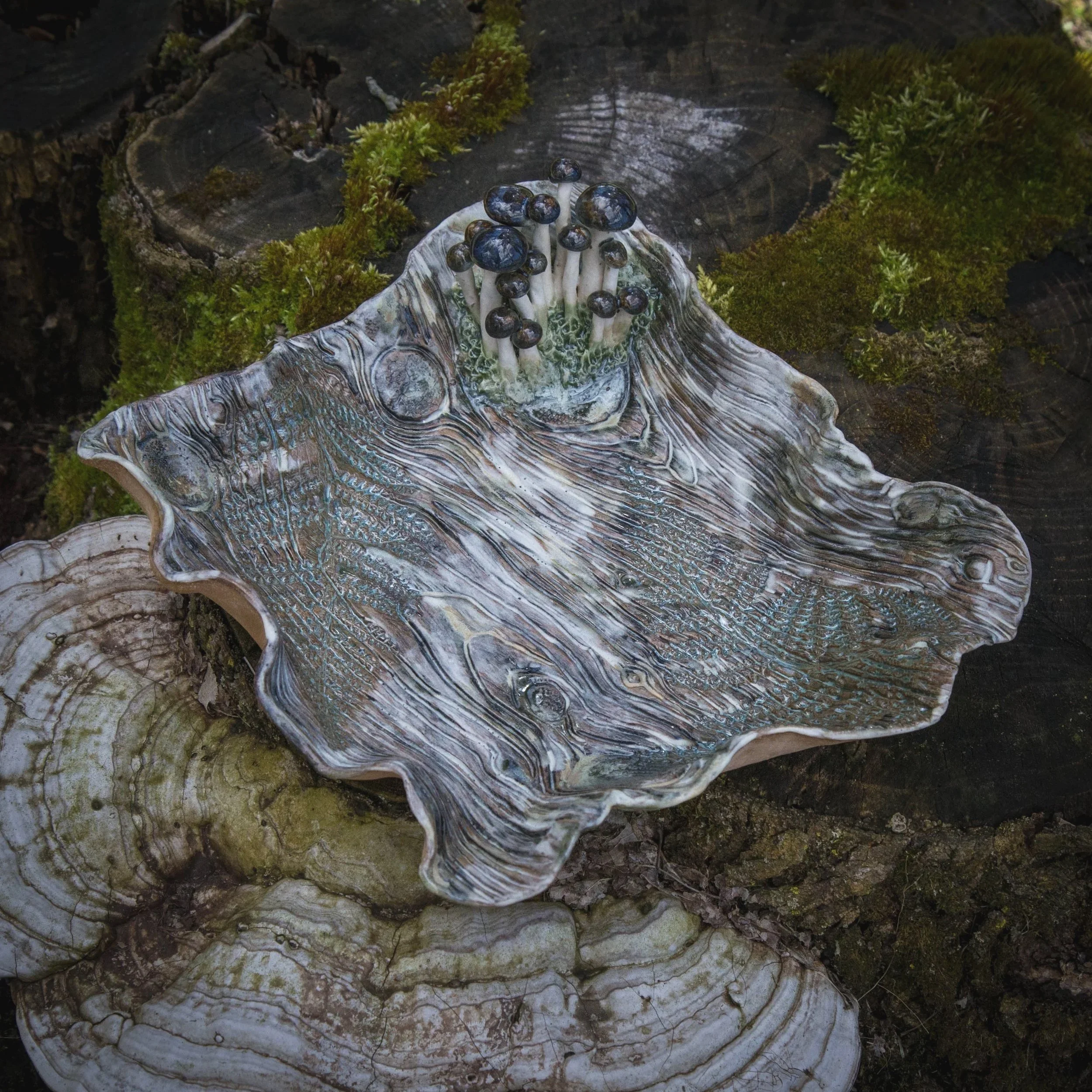 Blue Birch Terrain, Spring 2024