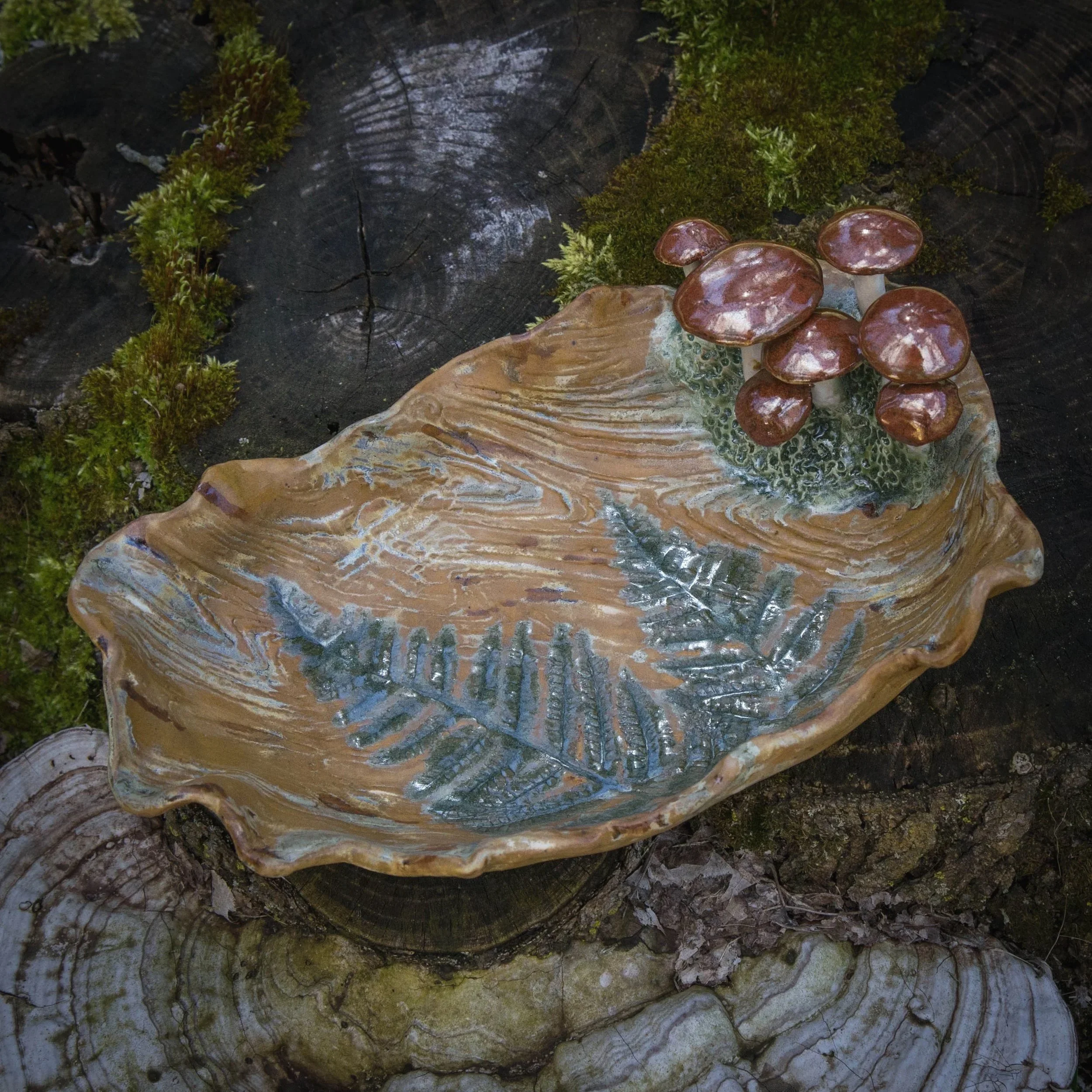  Chestnut Fern Terrain, Spring 2024