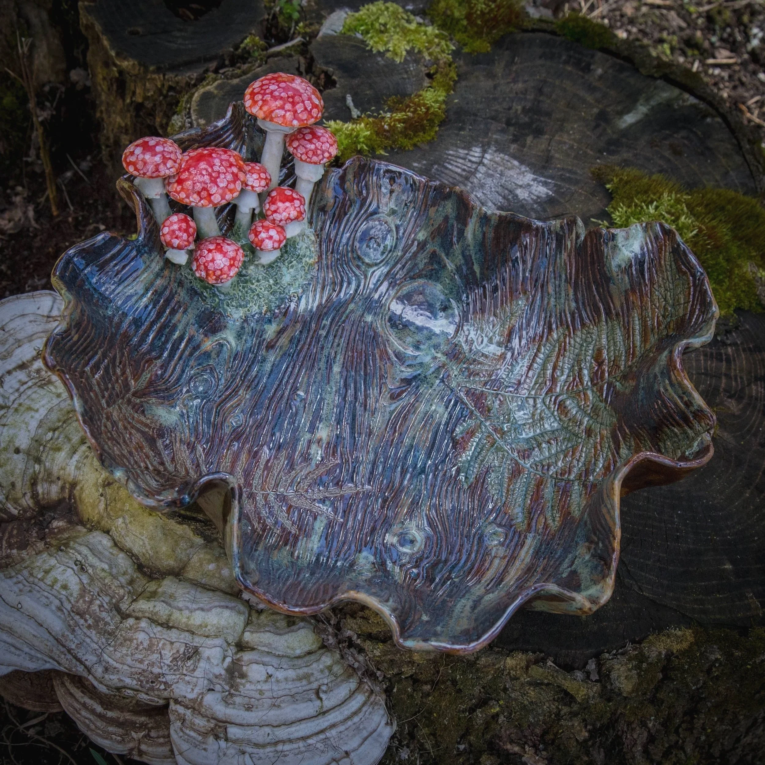 Amanita Moss Terrain, Spring 2024