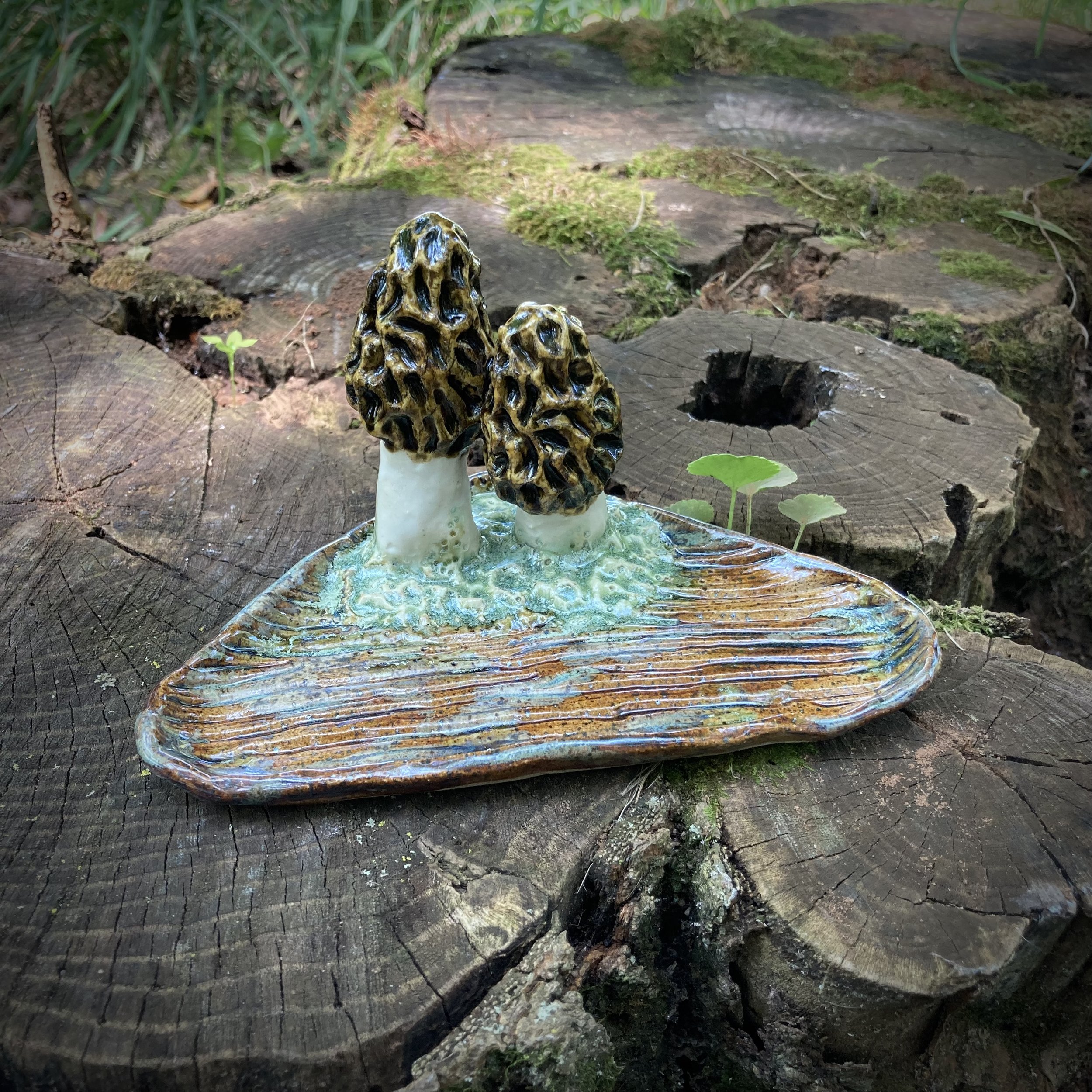 Morel Reliquary, Summer 2024