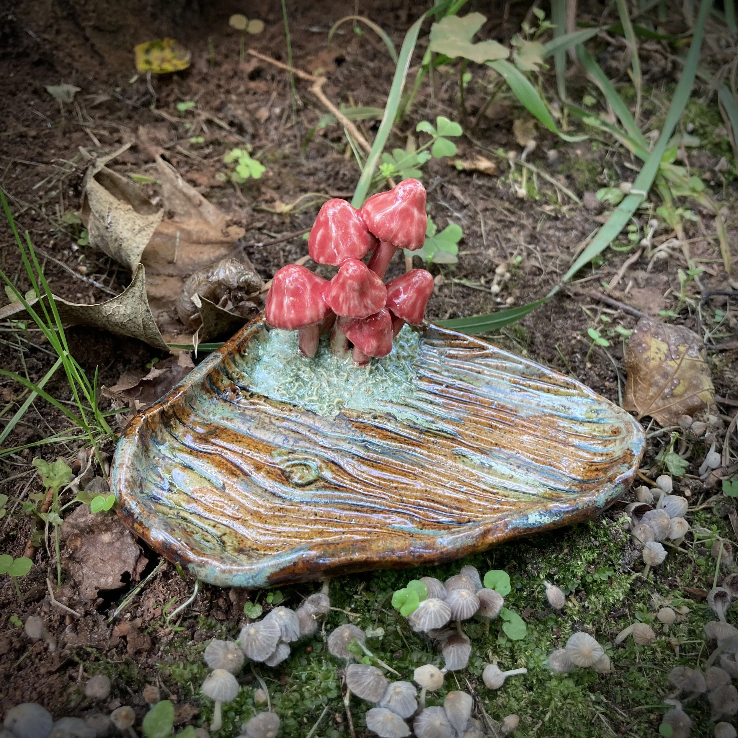 Mushroom Reliquary I, Summer 2024