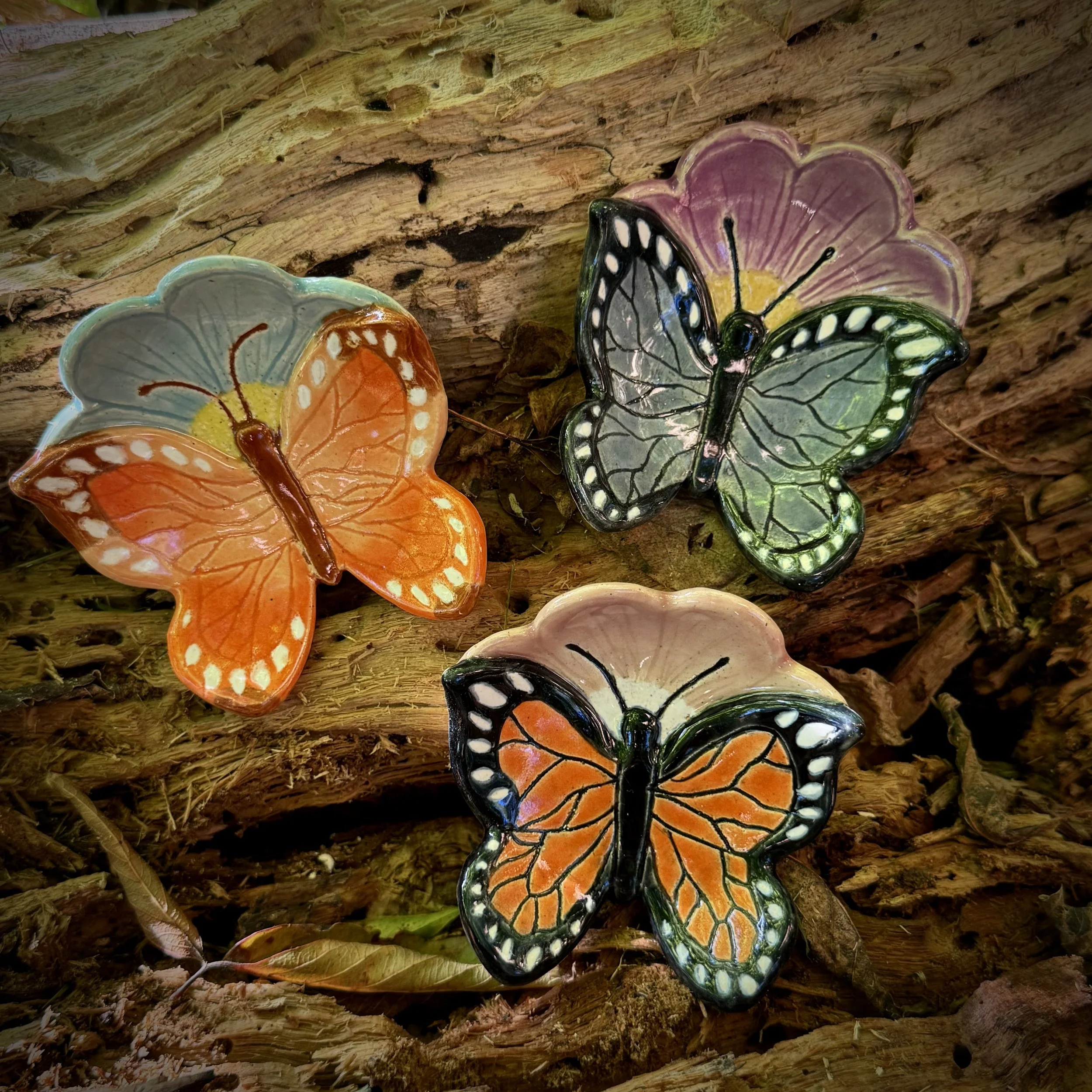 Butterfly Reliquaries, Autumn 2025