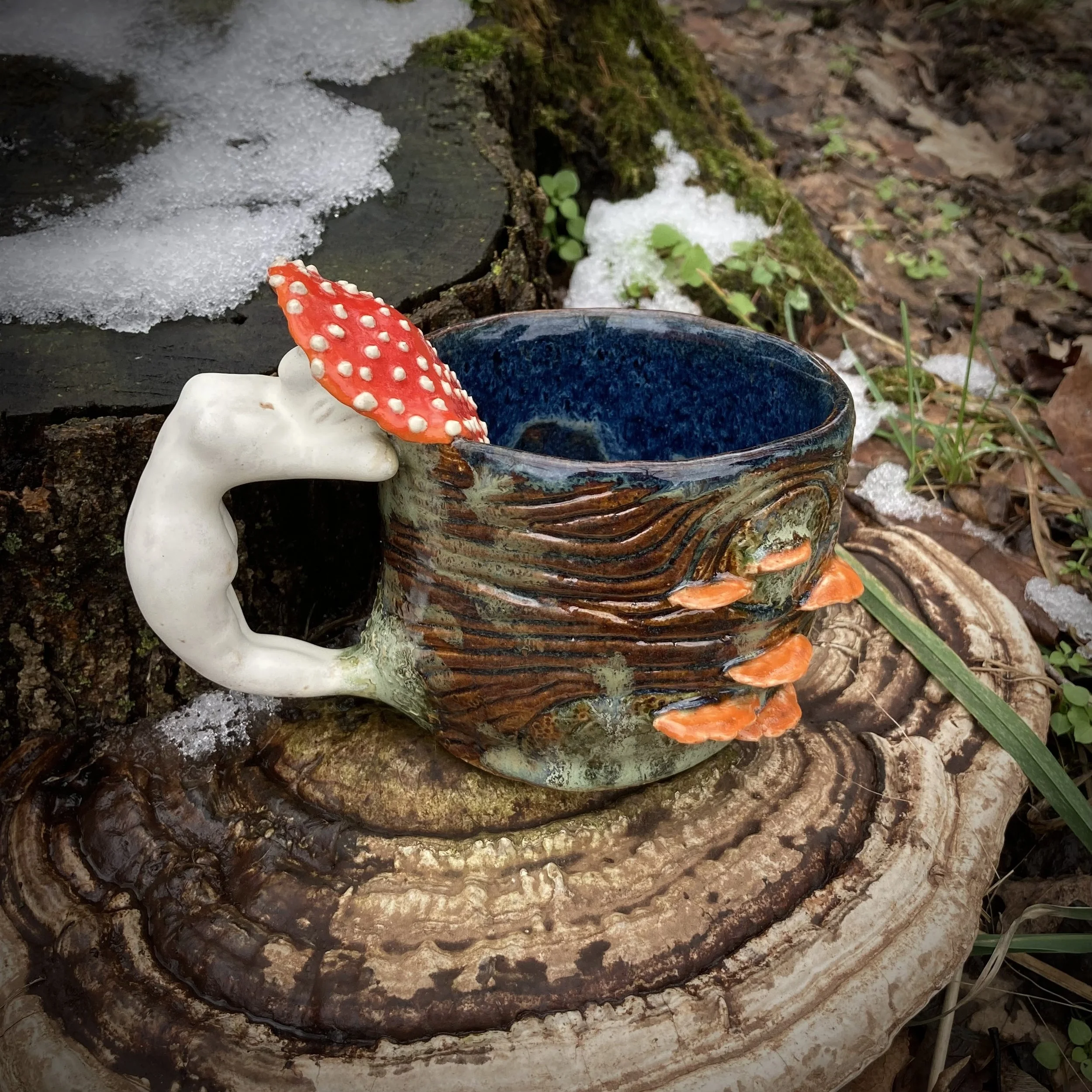 Lady Amanita Vessel, Winter 2024