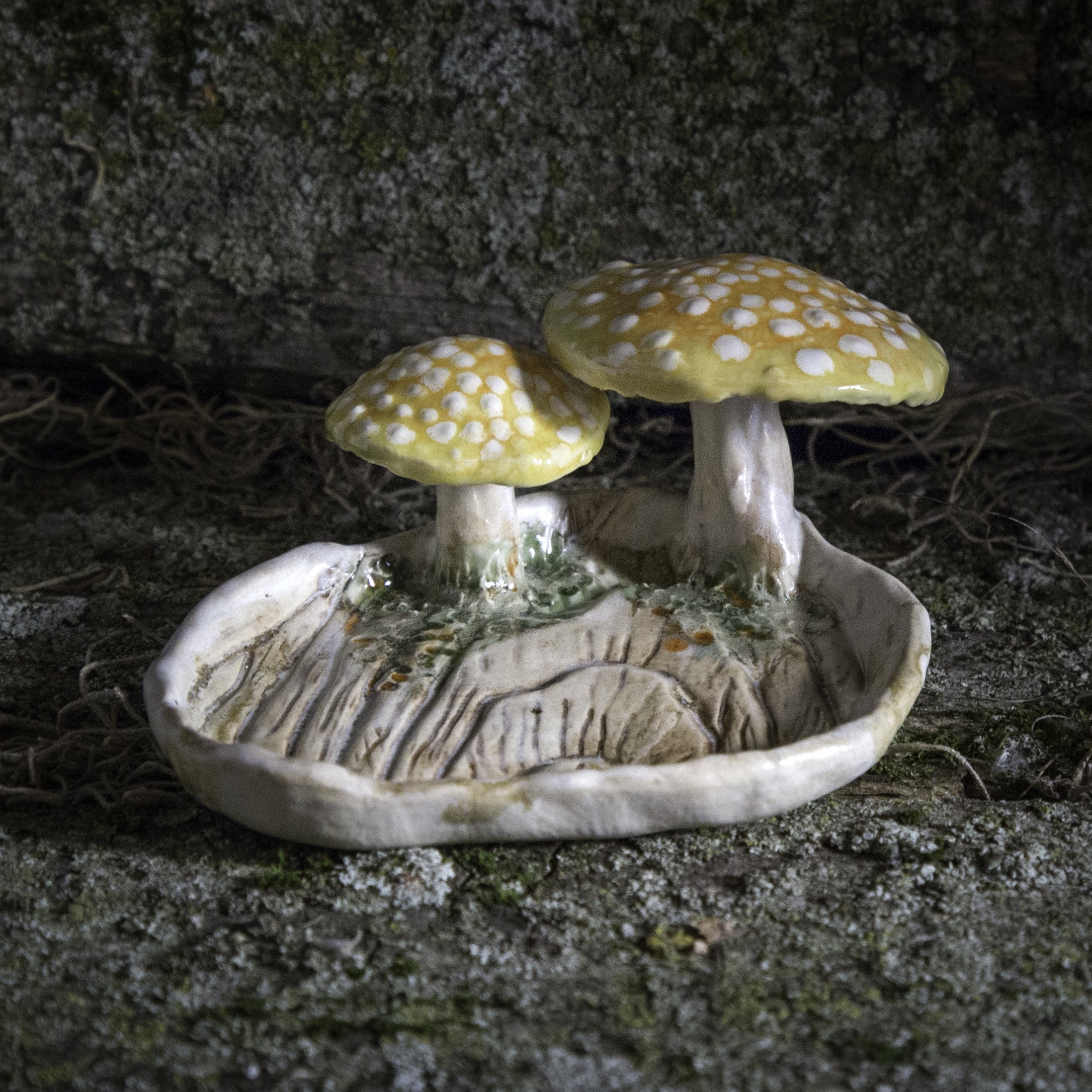 Amanita Reliquary I, Spring Season 2023