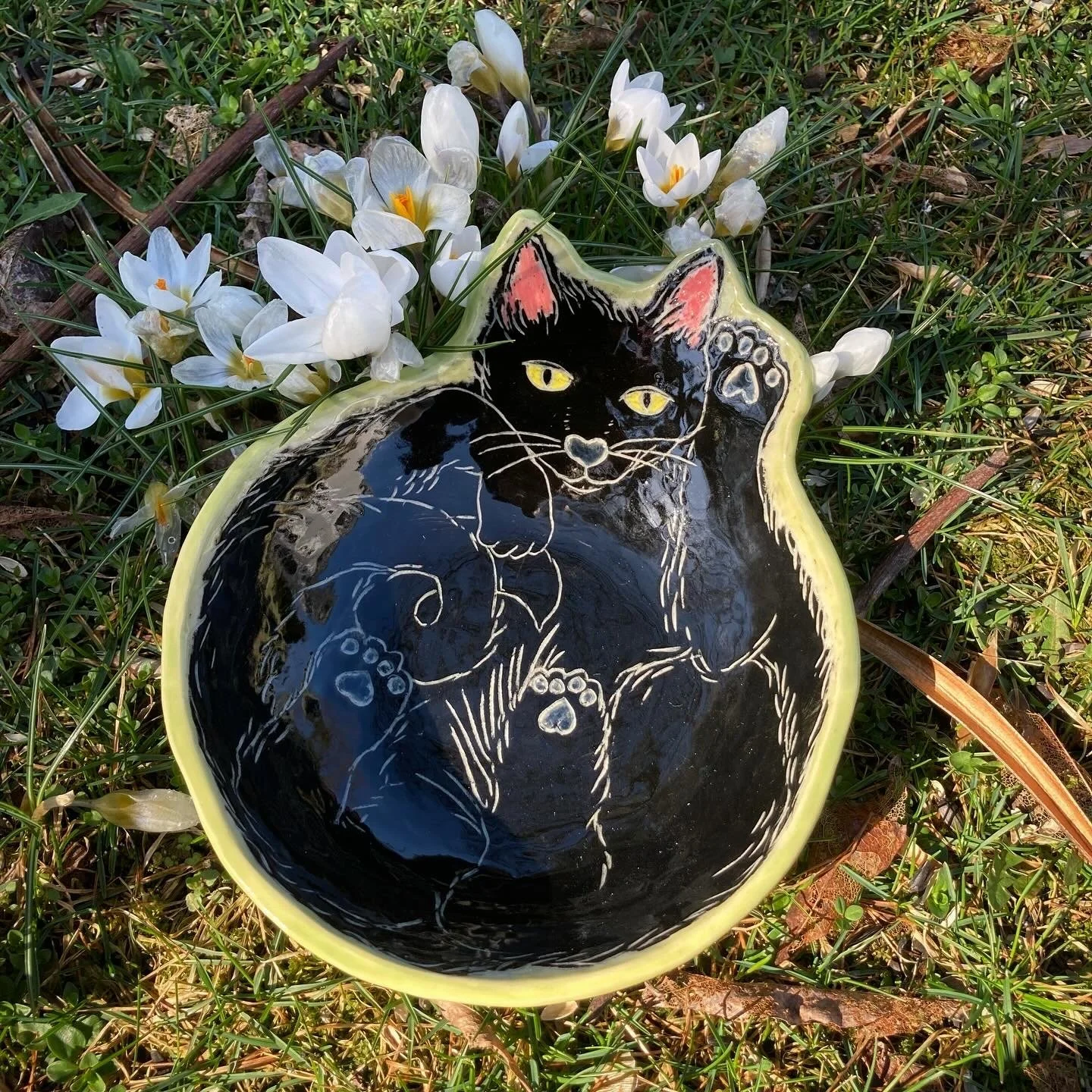 Custom Cat Portrait I, 2024