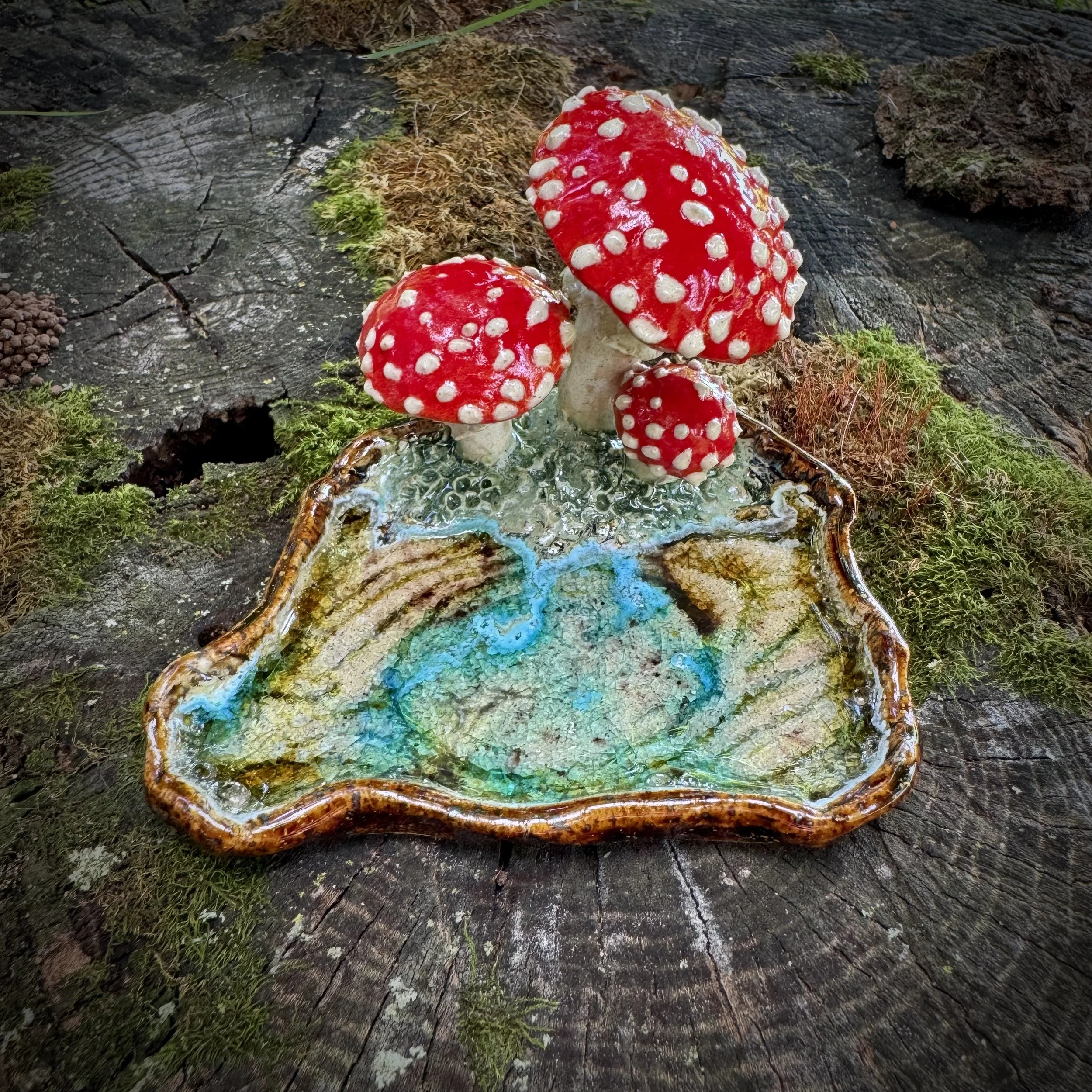 Amanita Reliquary, Summer 2025