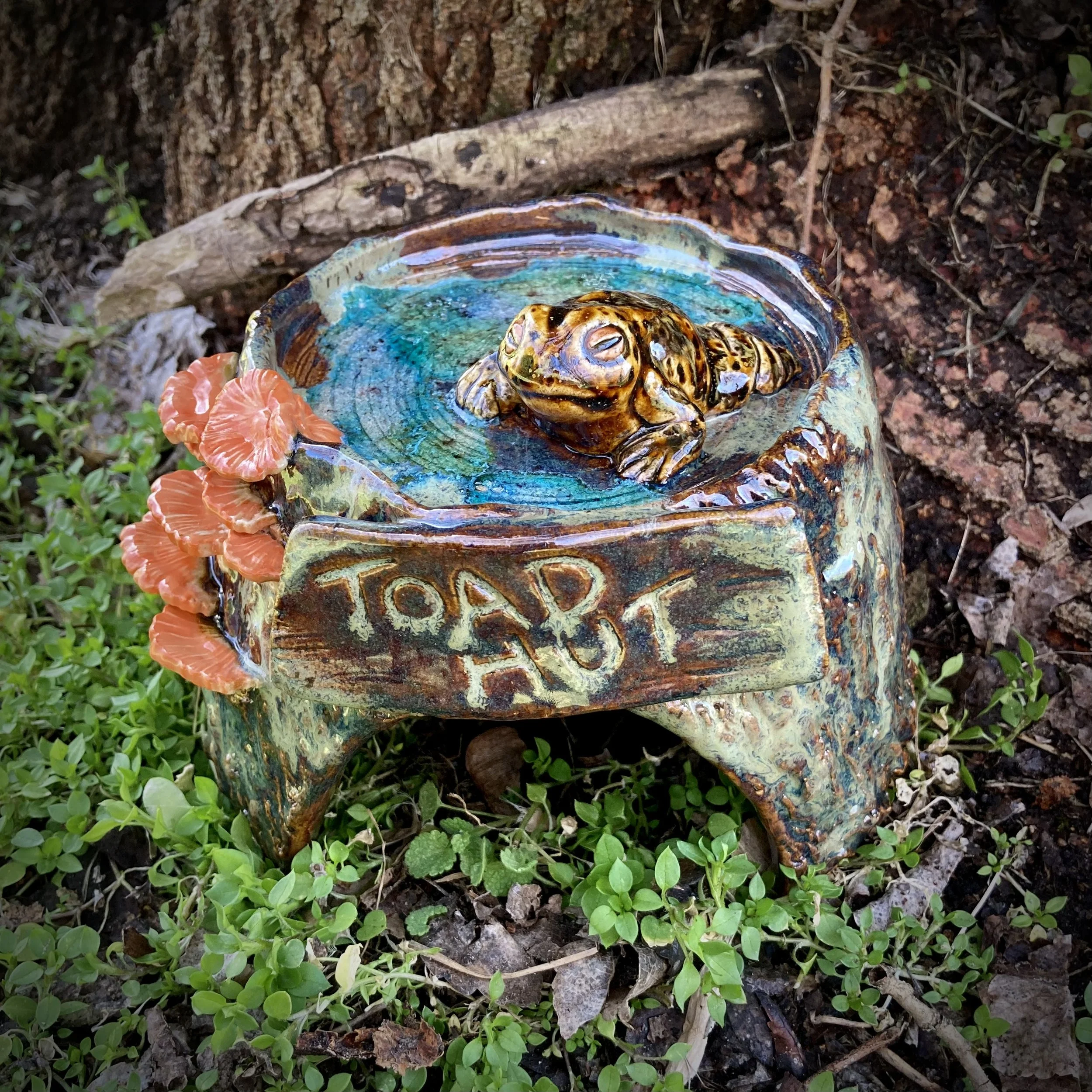 Toad Hut, Spring 2025