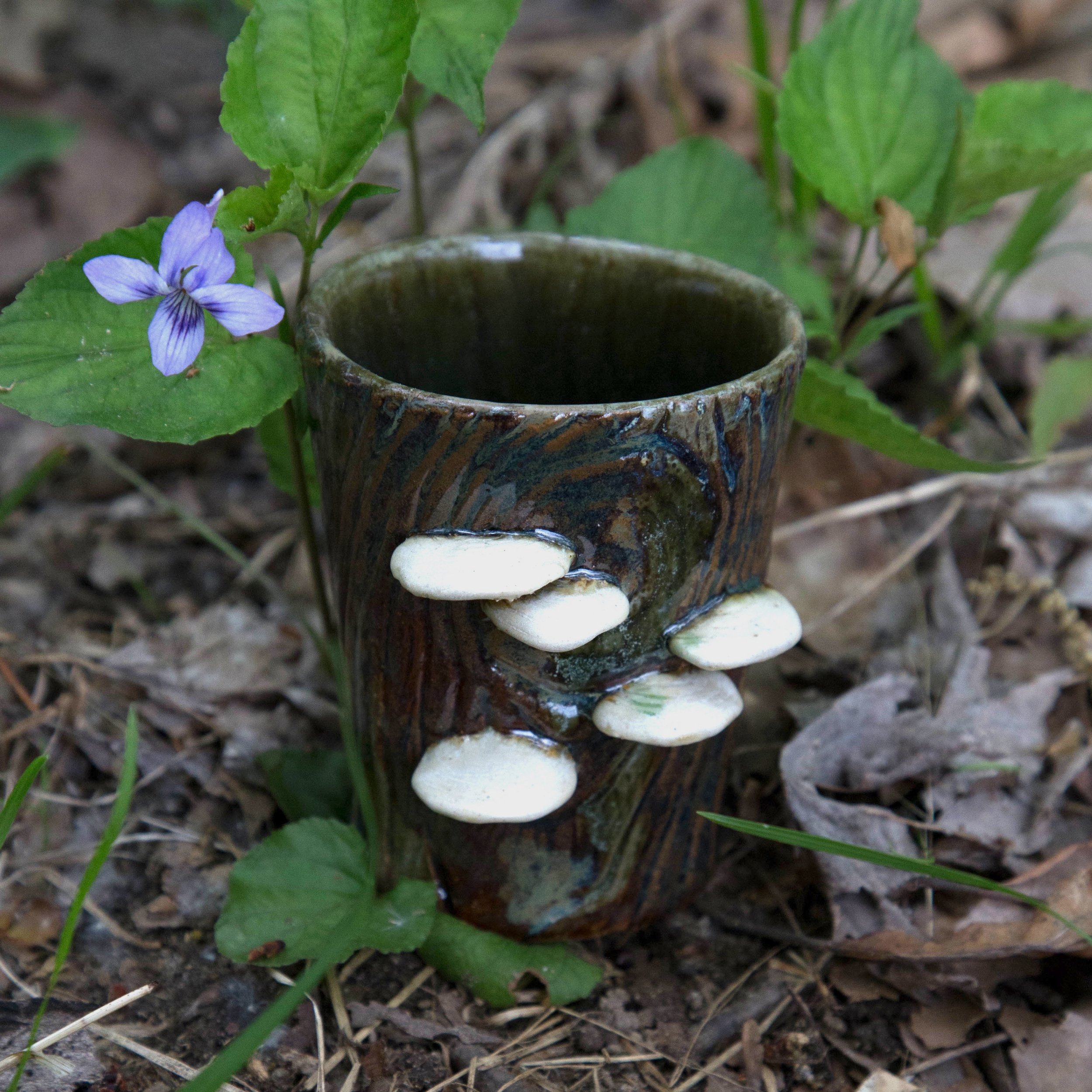 Polypore Vessel I, Spring Season 2023