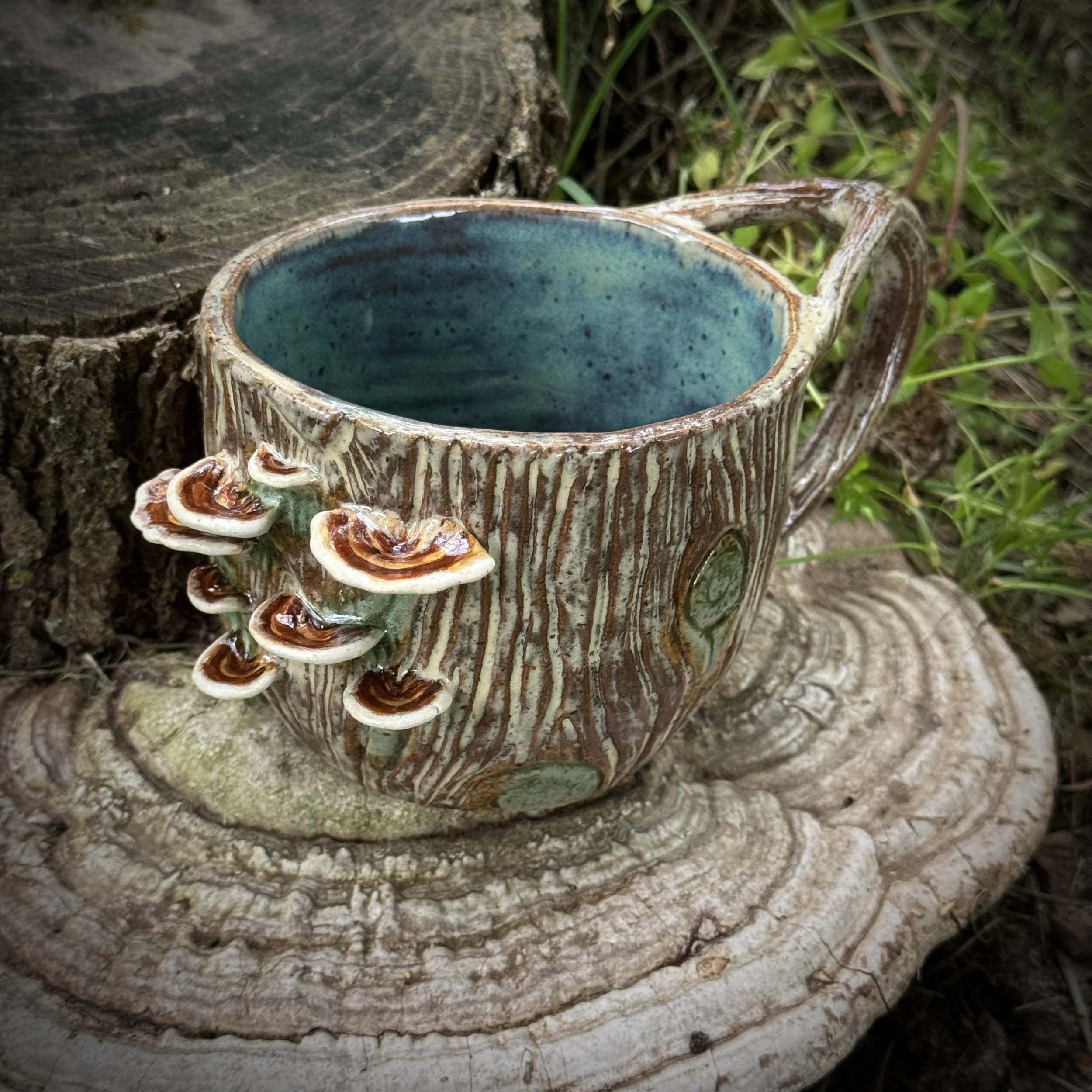 Turkey Tail Vessel I, Summer 2025