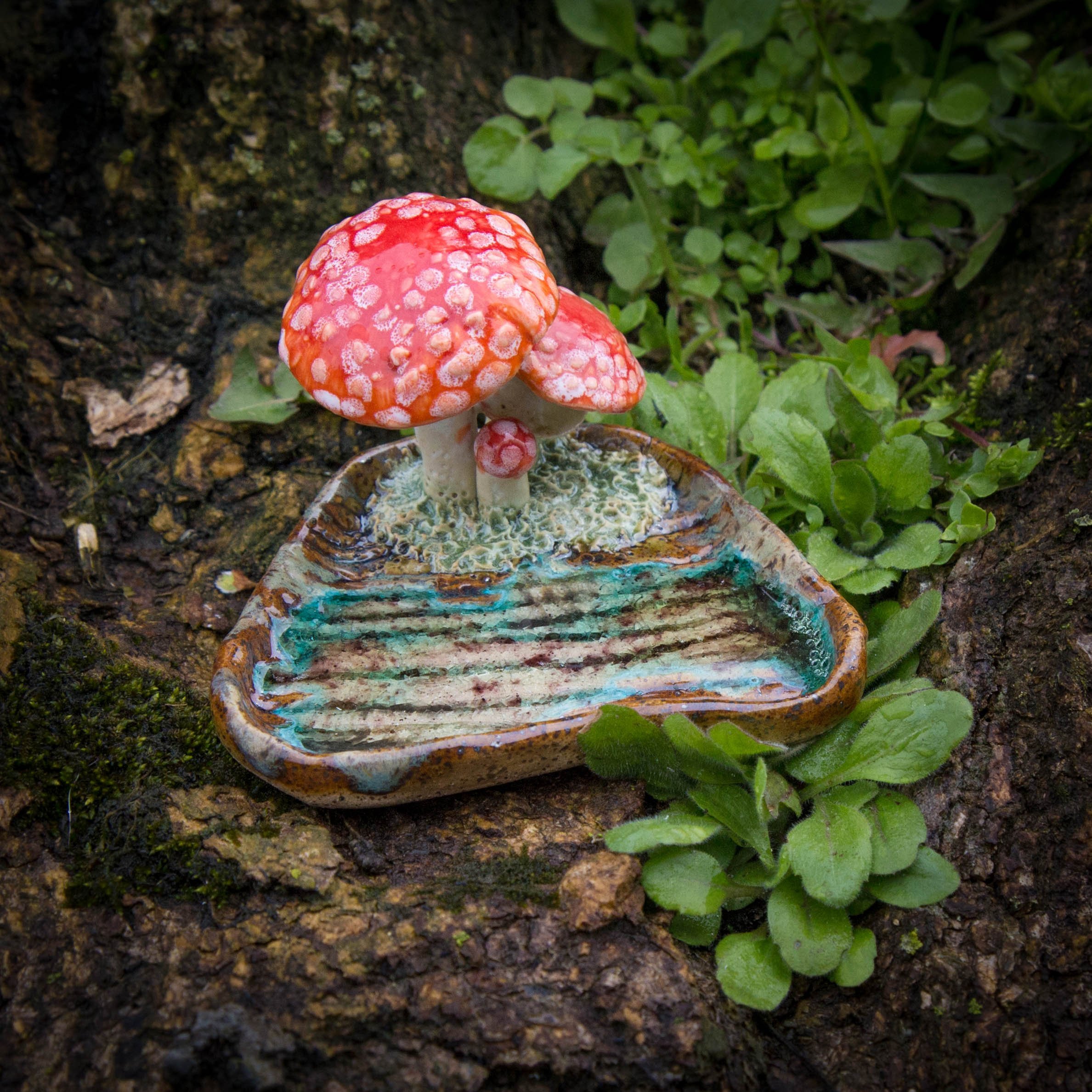Amanita Reliquary I, Spring Season 2024