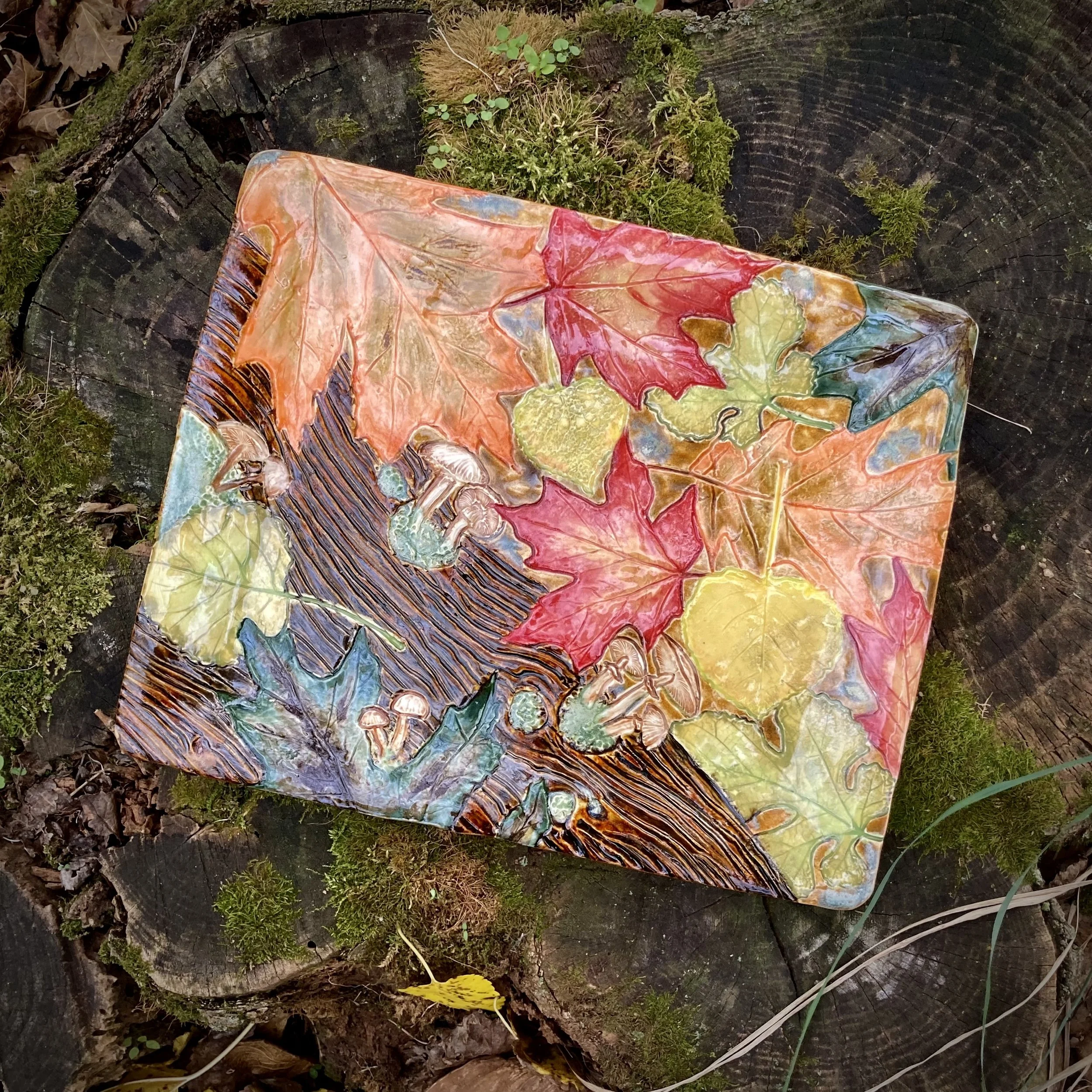 Fall Forest Floor Terrain, Autumn 2024