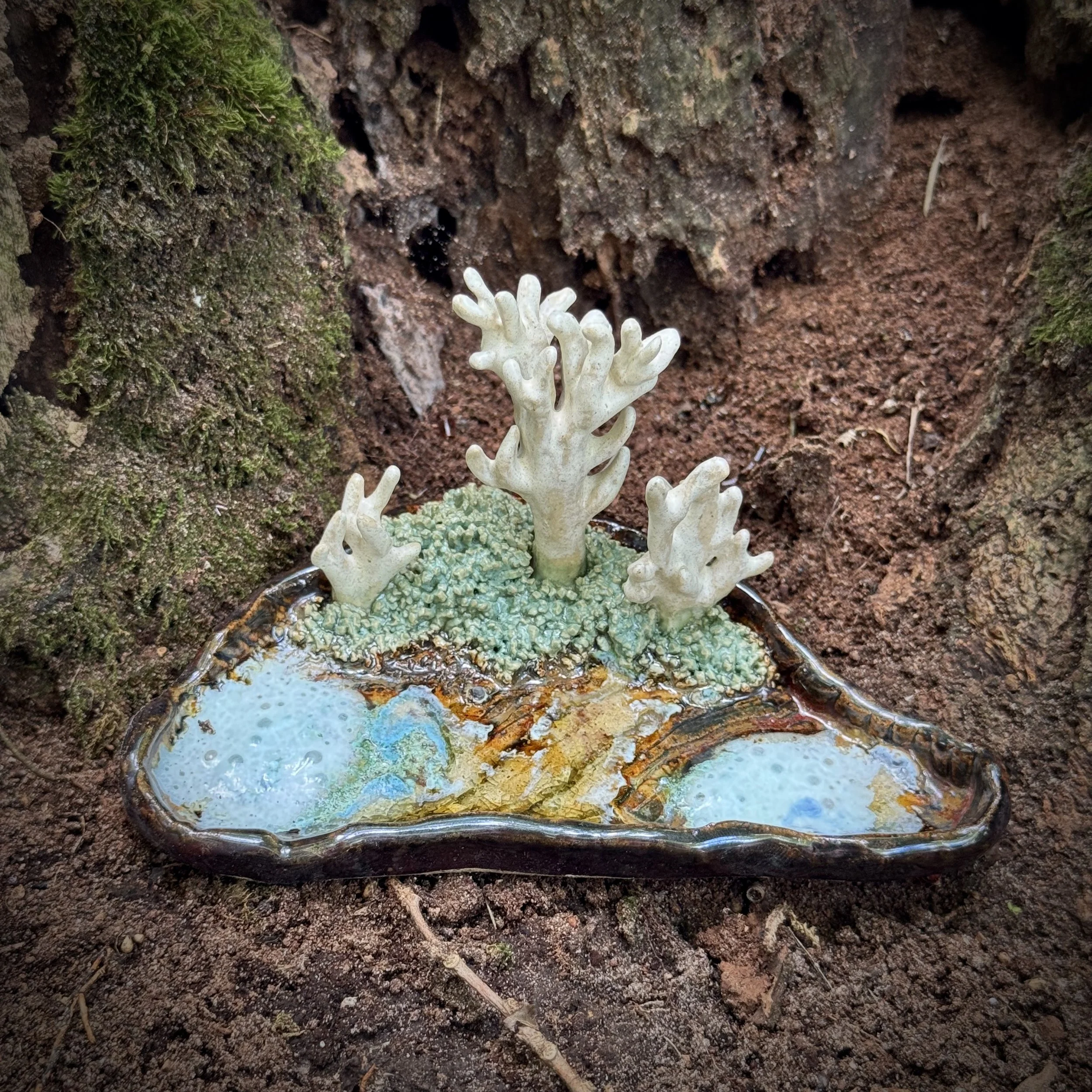 Coral Fungi Reliquary, Summer 2025