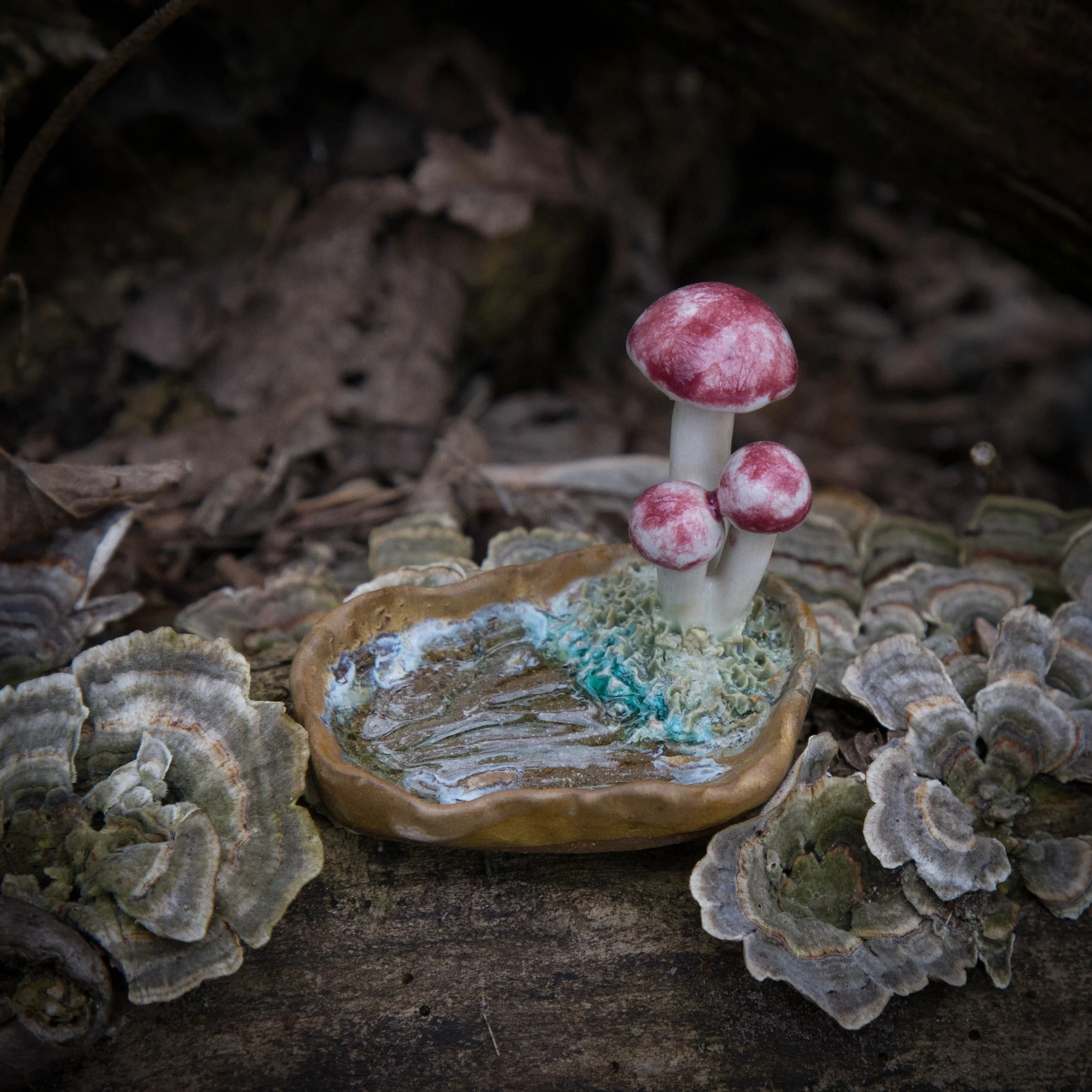 Russula Reliquary, Spring Season 2024